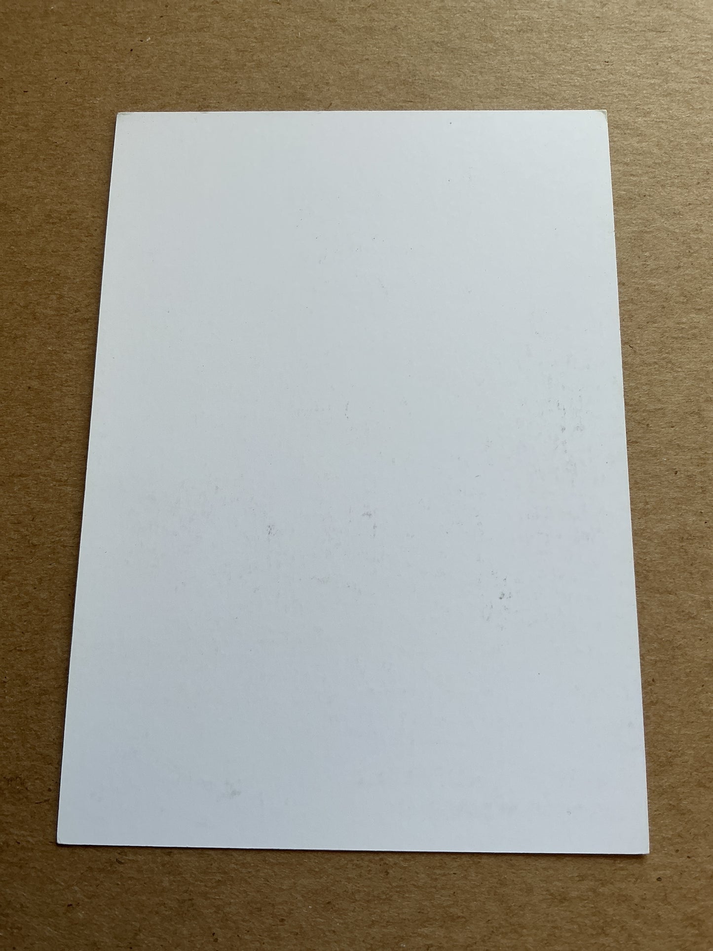 Erik Lamela, Argentina 🇦🇷 Tottenham Hotspur 2018/19 hand signed