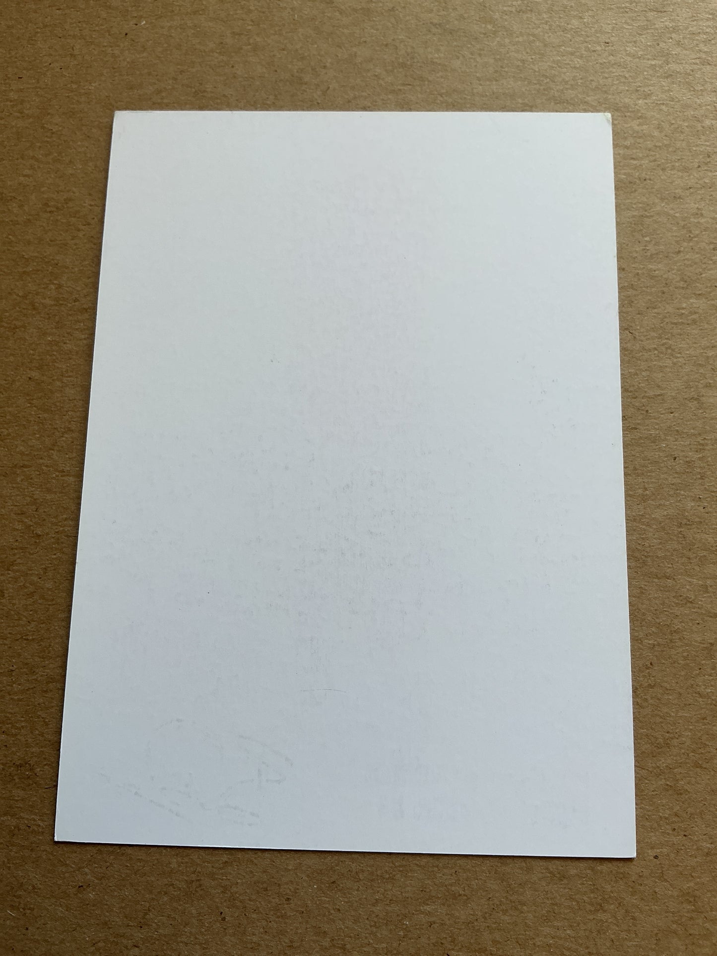 Toby Alderweireld, Belgium 🇧🇪 Tottenham Hotspur 2018/19 hand signed