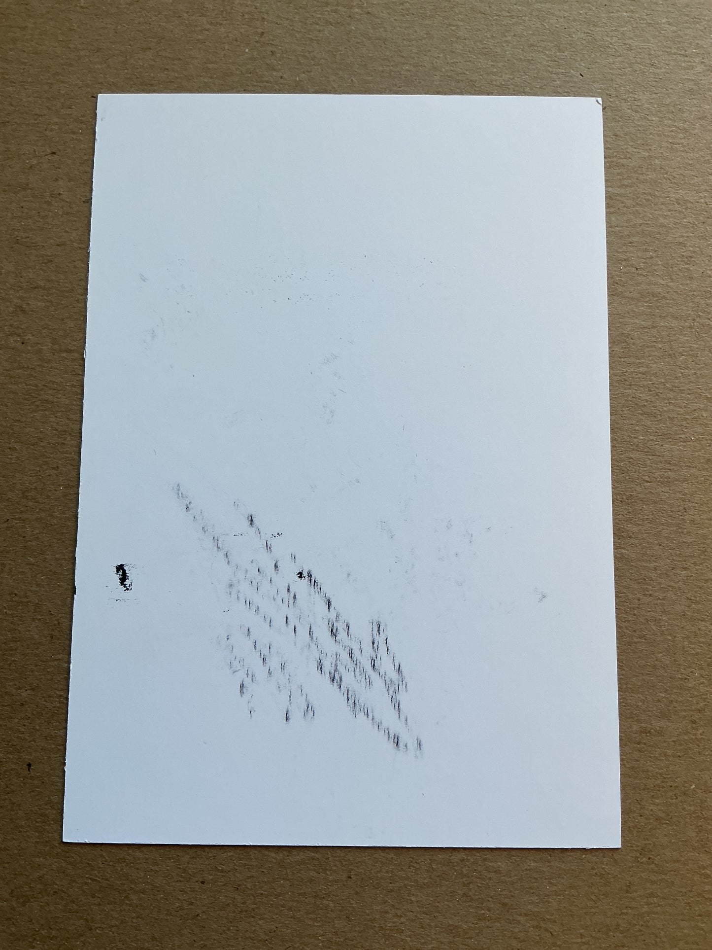 Diego Živulić, Croatia 🇭🇷 Śląsk Wrocław 2019/20 hand signed