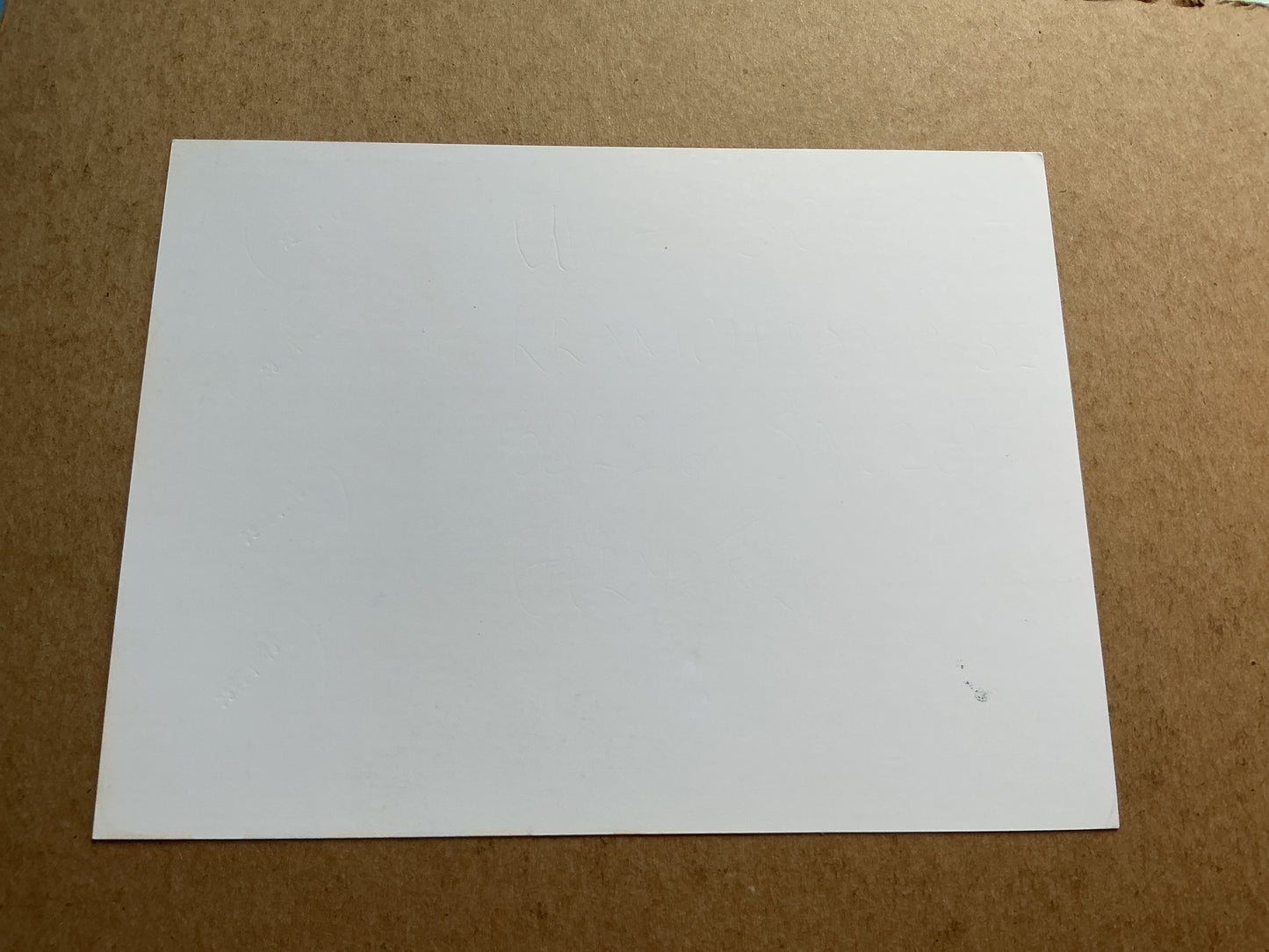 Milan Rodić, Serbia 🇷🇸 Red Star Belgrade 2019/20 hand signed