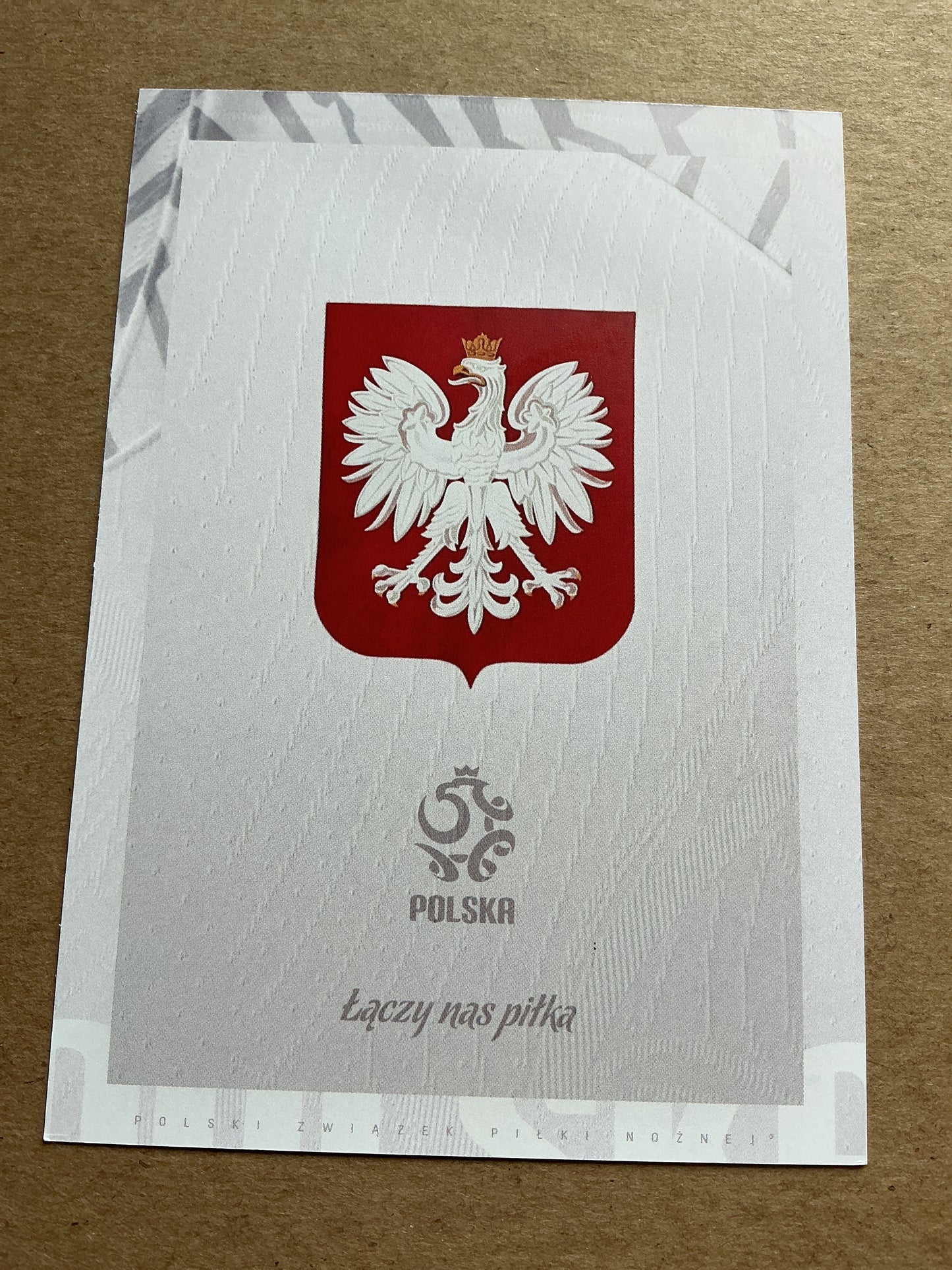 Bartlomiej Dragowski, Poland 🇵🇱 FIFA World Cup 2022 ACF Fiorentina hand signed