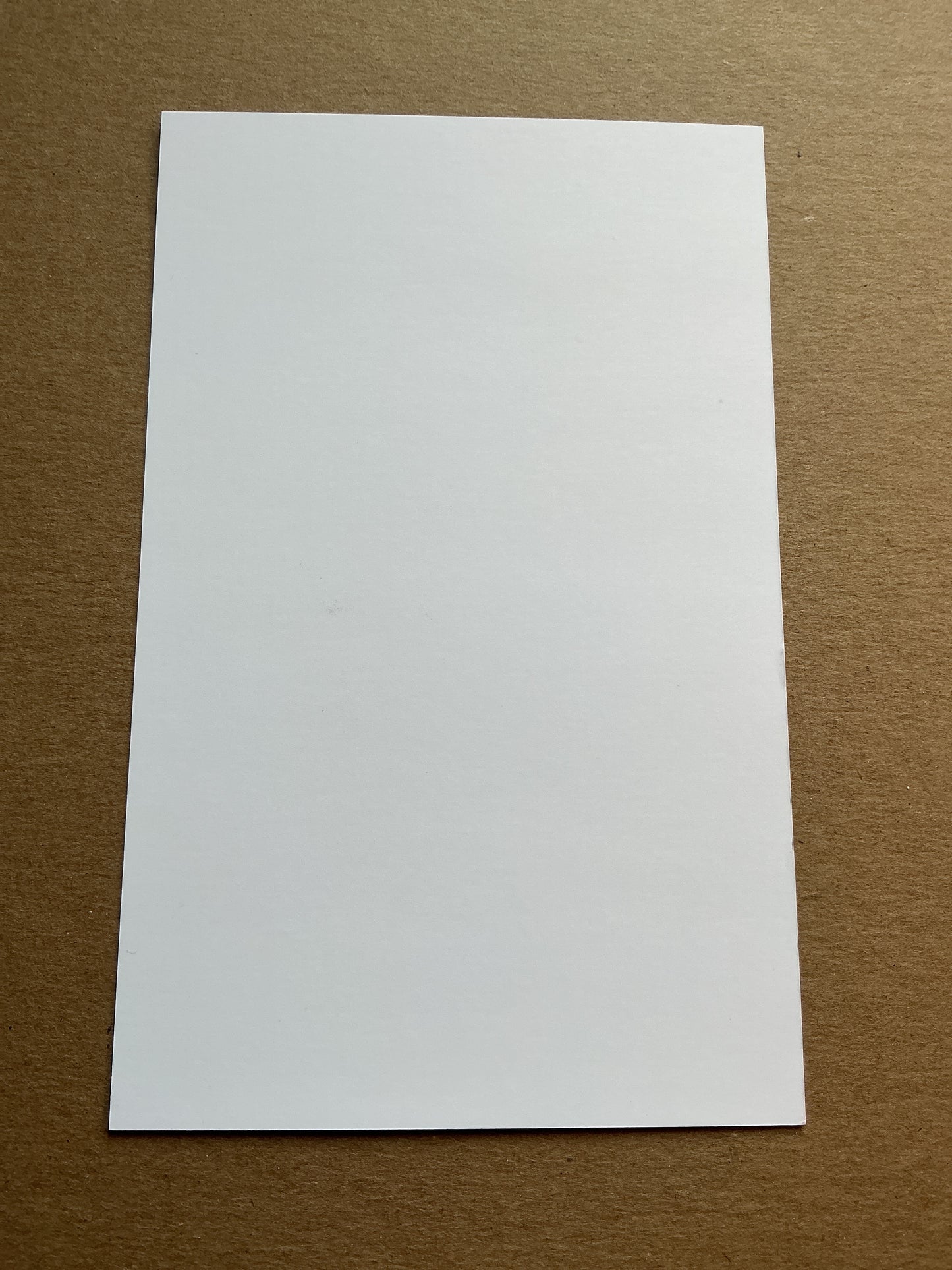 Vinícius Abner, Brazil 🇧🇷 Olympique Lyon 2025/26 hand signed