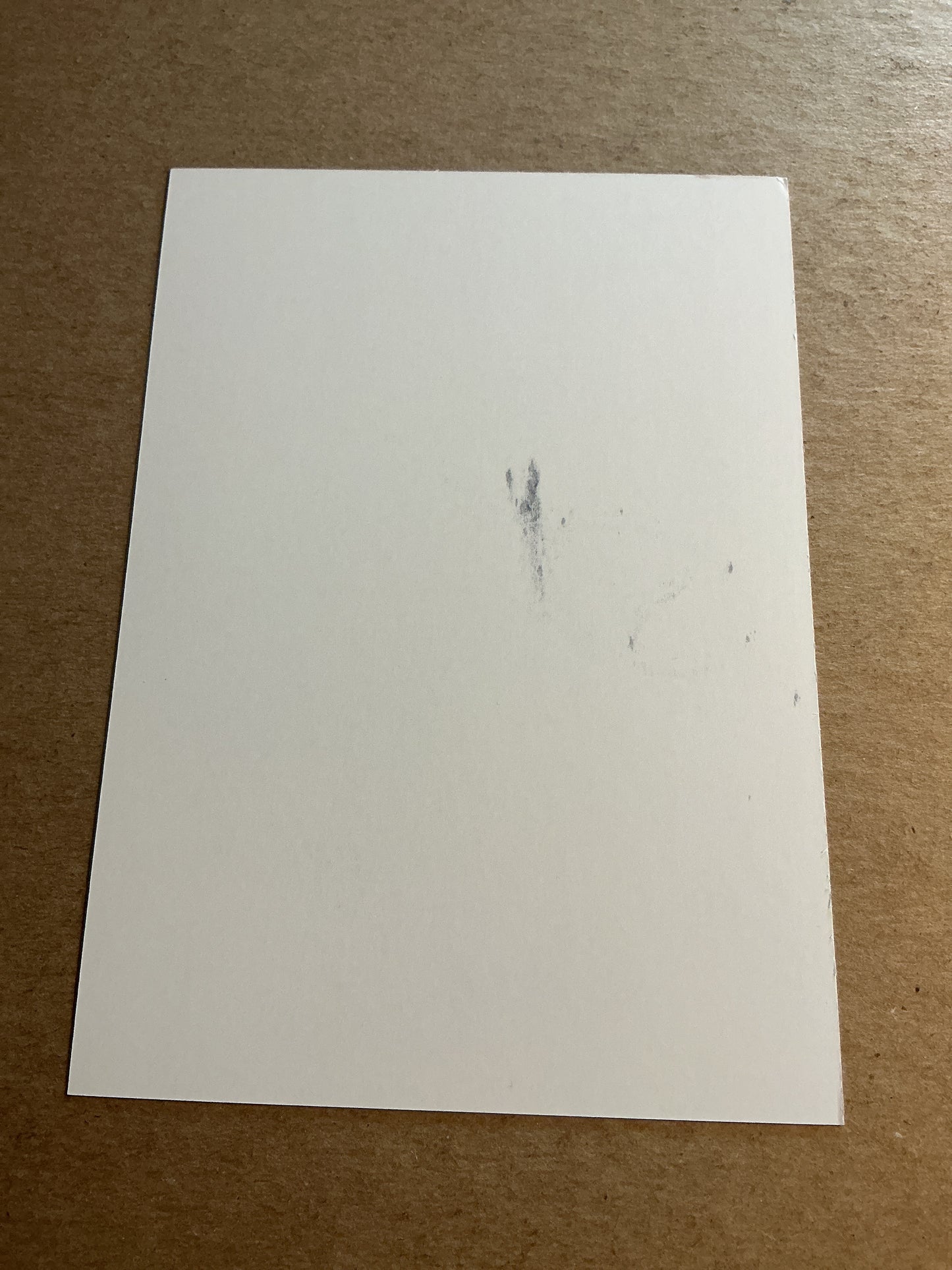 Eric Perrot, France 🇫🇷 Biathlon Winter Sports 2024/25 hand signed
