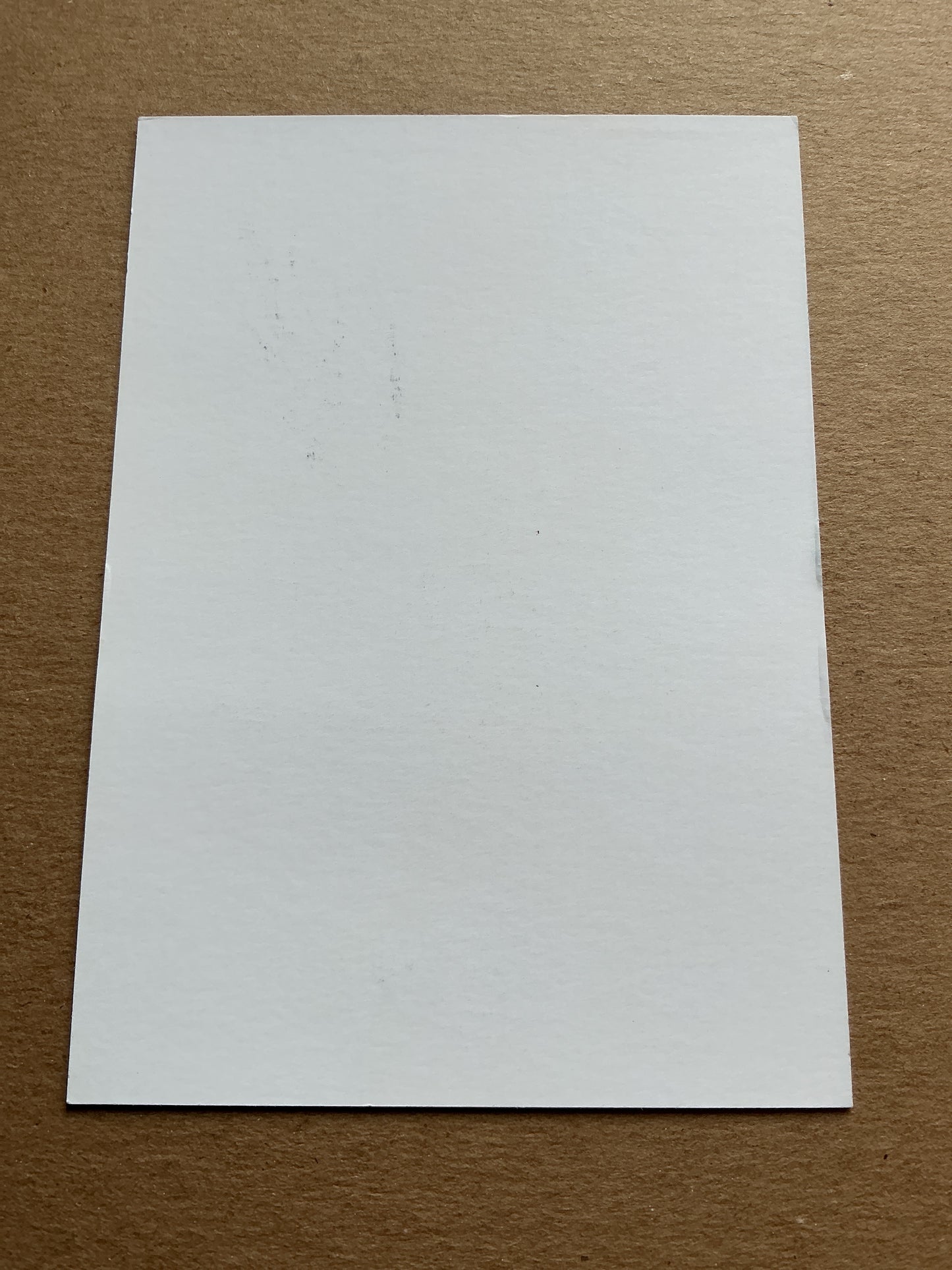 Otto Rauhala, Finland 🇫🇮 Tappara Tampere 2023/24 hand signed
