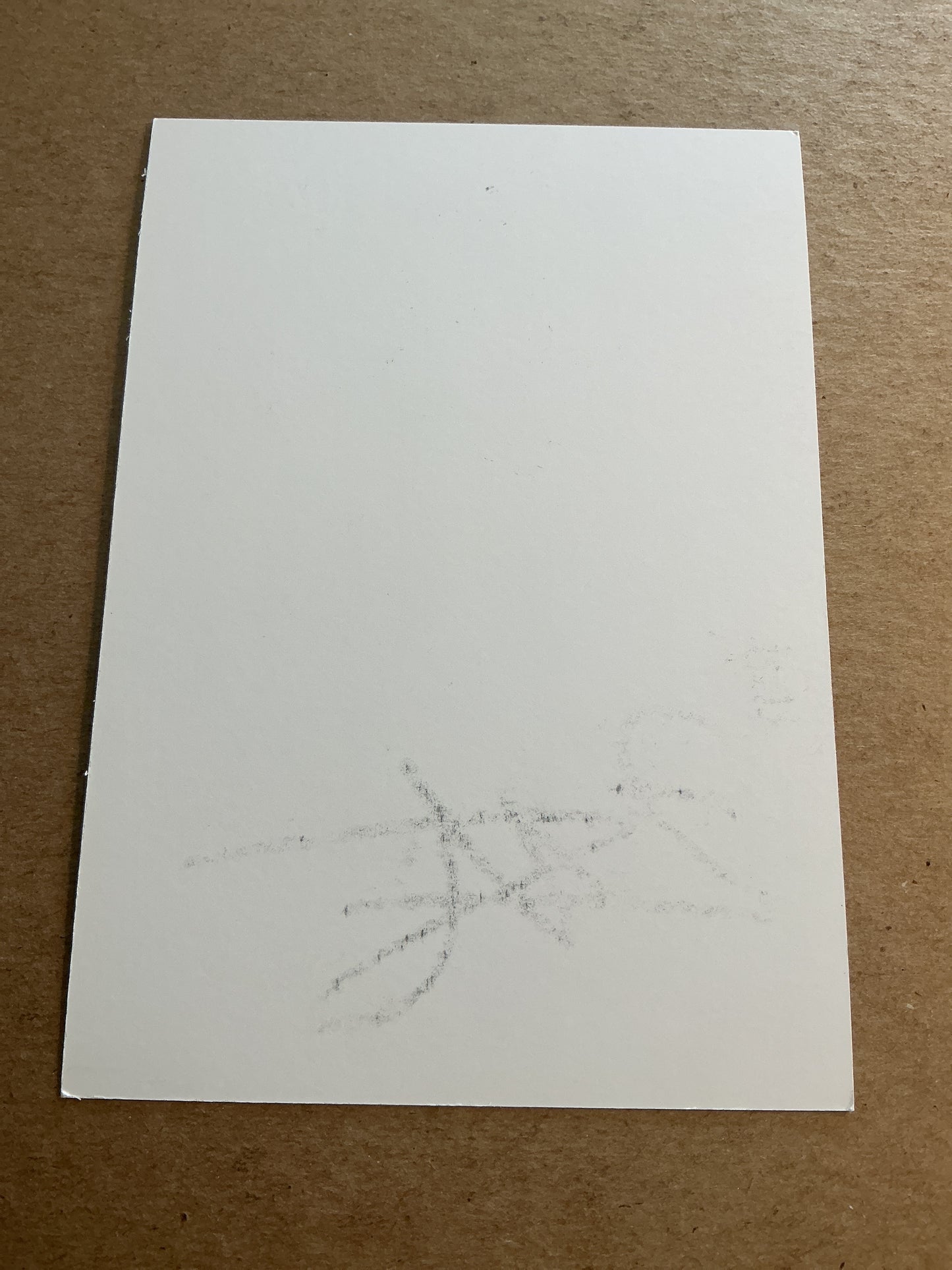 Jeremy Pied, France 🇫🇷 Lille OSC 2018/19 hand signed