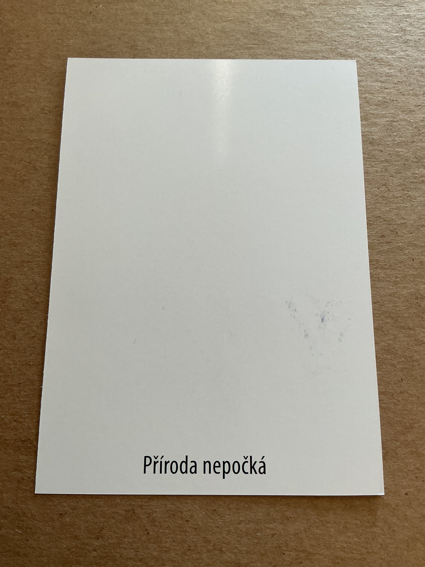 Petr Hladik, Czech Republic 🇨🇿 Minister for Environment 2025 hand signed
