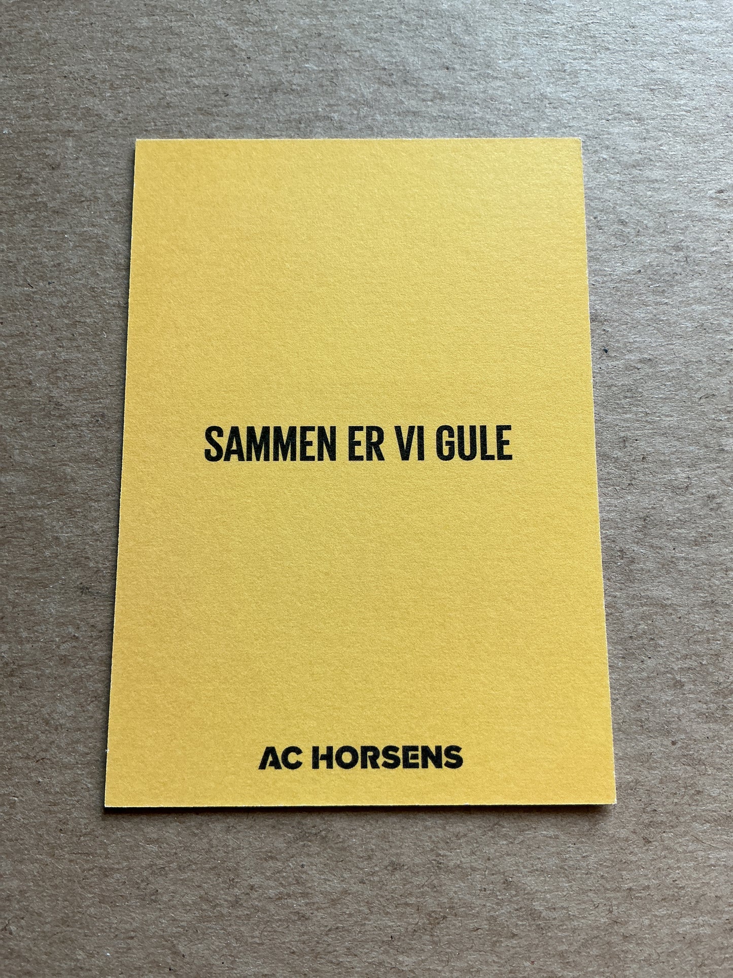 Jacob Buus, Denmark 🇩🇰 AC Horsens 2022/23 hand signed
