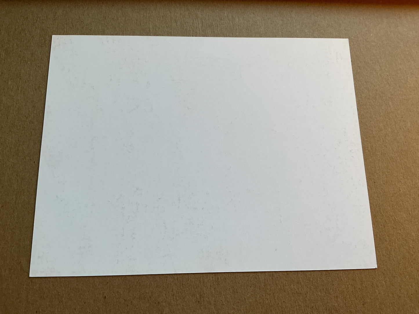 Filip Stojković, Serbia 🇷🇸 Red Star Belgrade 2019/20 hand signed