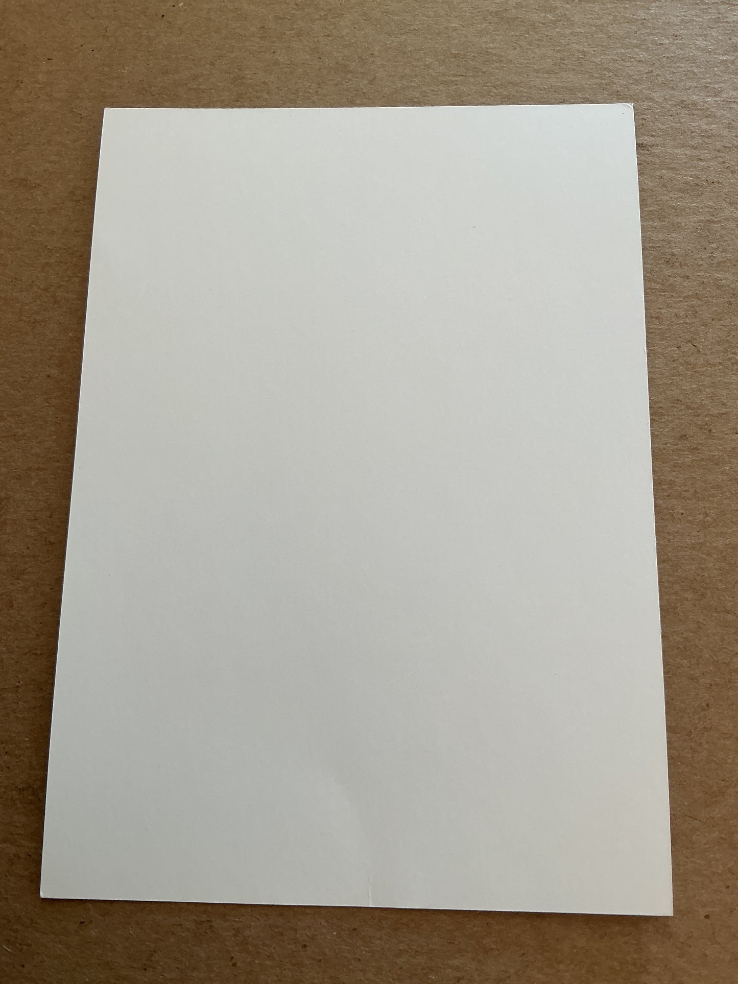 Marcelo Brozovic, Croatia 🇭🇷 FIFA World Cup 2022 hand signed
