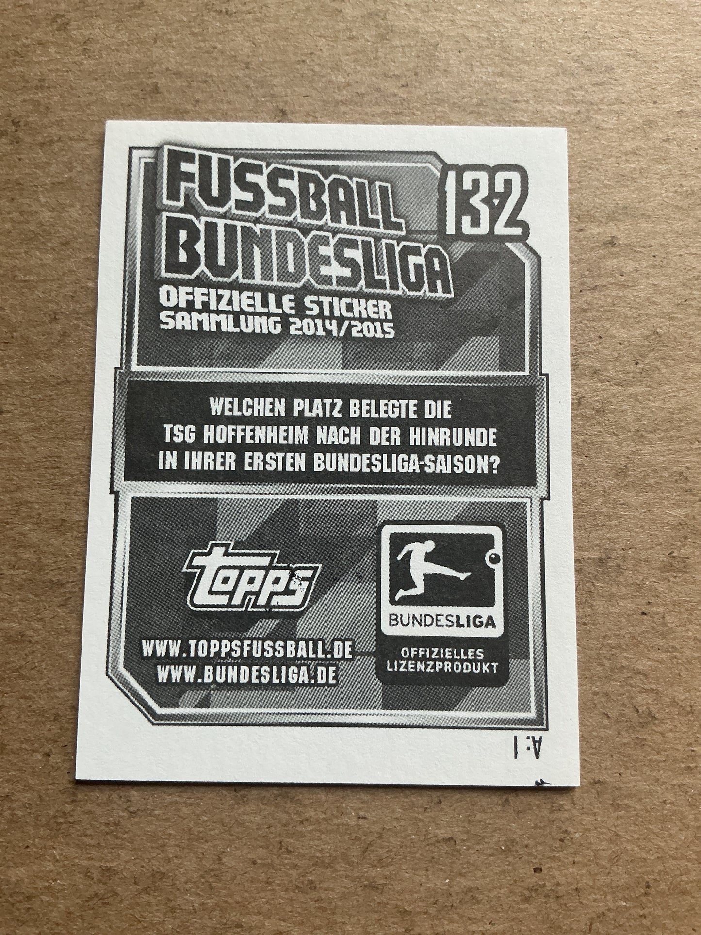 Sebastian Rudy, Germany 🇩🇪 TSG 1899 Hoffenheim 2014/15 Topps hand signed