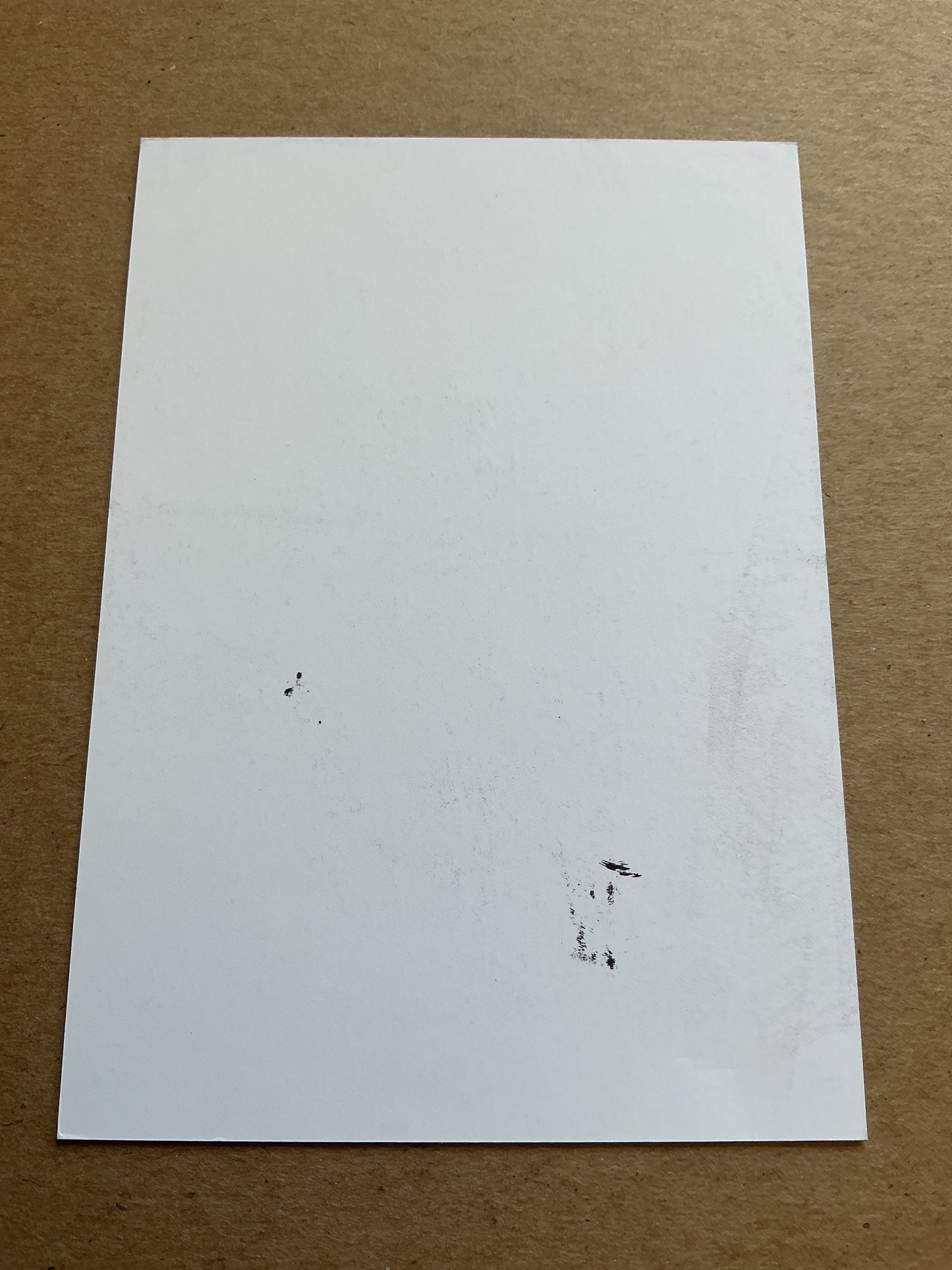 Julia Stierli,  Switzerland 🇨🇭 Women’s World Cup 2023 hand signed