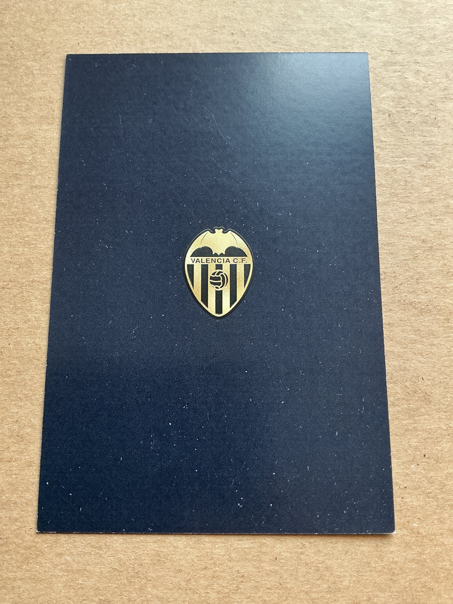 Diego Lopez, Spain 🇪🇸 Valencia CF 2024/25 hand signed