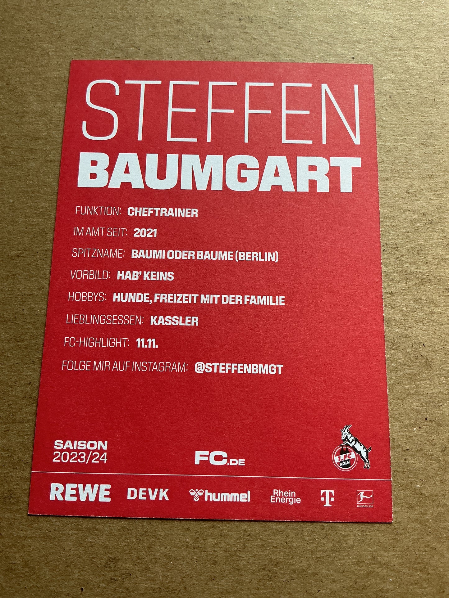 Steffen Baumgart, Germany 🇩🇪 1.FC Köln 2023/24 hand signed