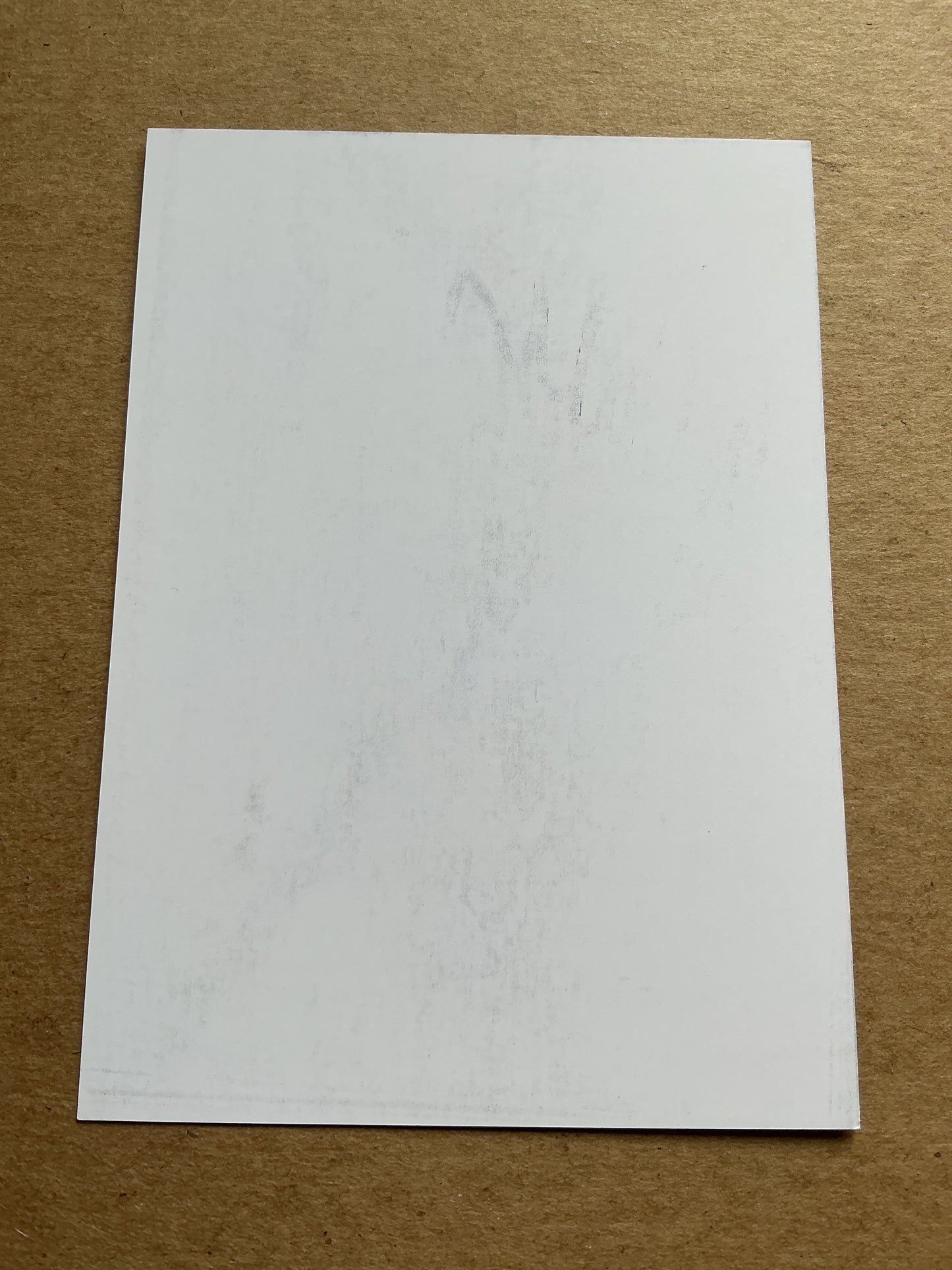 Ginia Caluori, Switzerland 🇨🇭 Cycling Sports 2025 hand signed