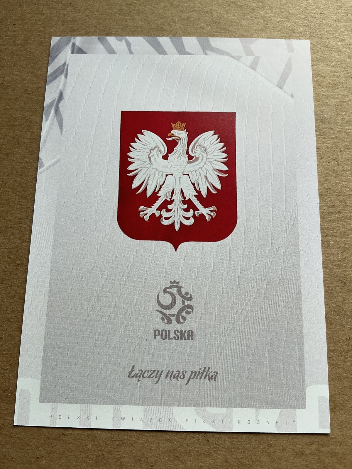 Jan Bednarek, Poland 🇵🇱 FIFA World Cup 2022 Southampton FC hand signed - Autographs-World