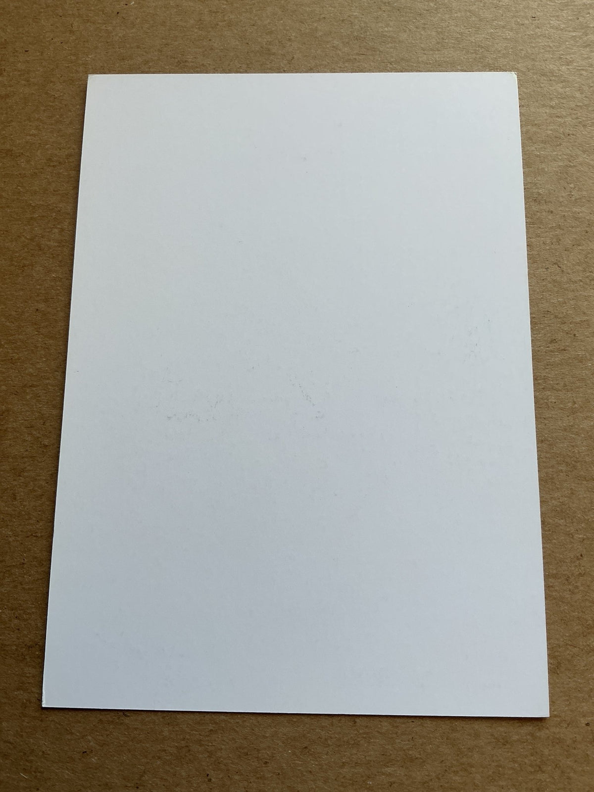 Jan Vertonghen, Belgium 🇧🇪 Tottenham Hotspur 2018/19 hand signed - Autographs-World