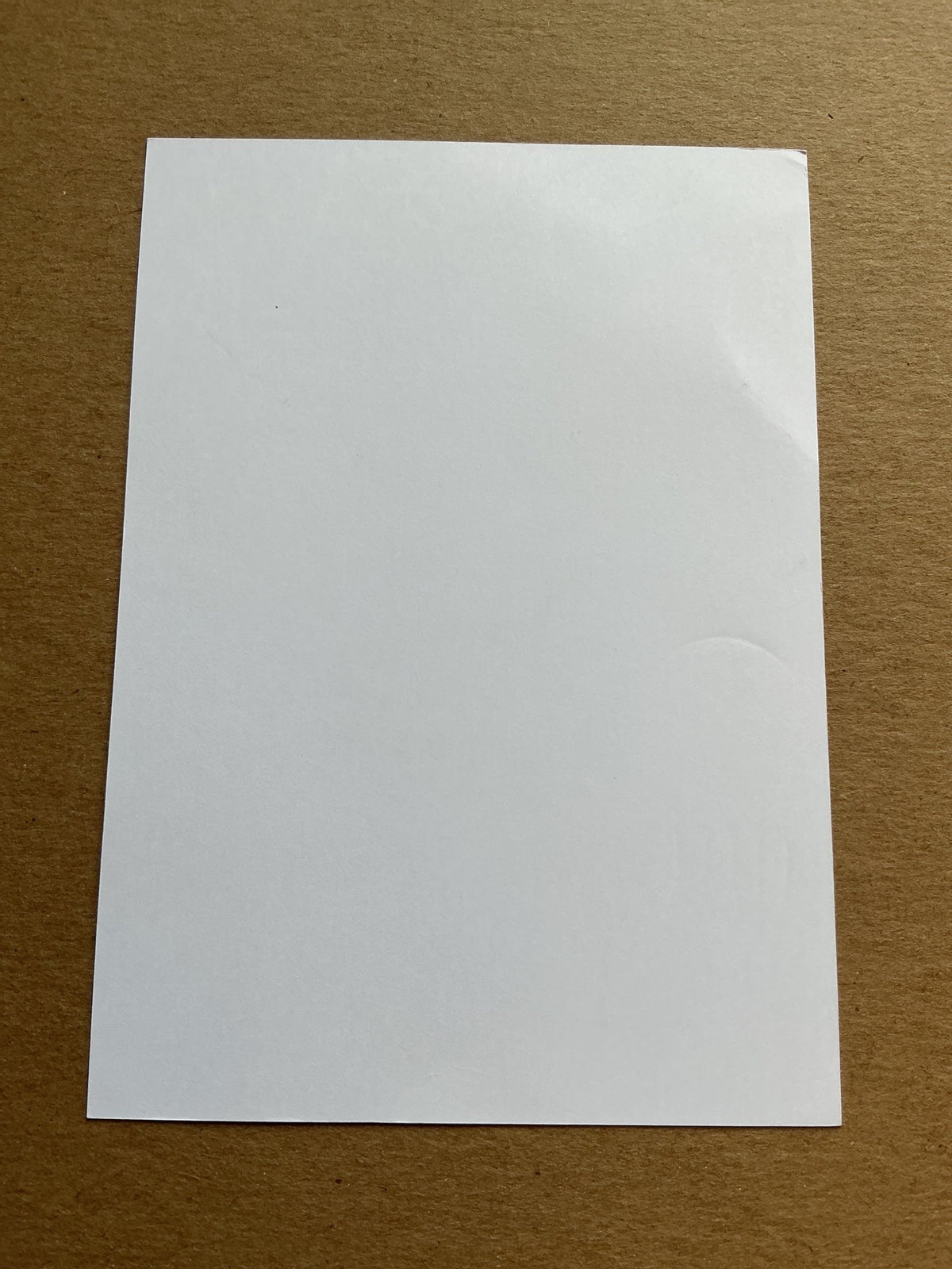 Jan Vodháněl, Czech Republic 🇨🇿 Bohemians Praha 1905 2019/20 hand signed - Autographs-World