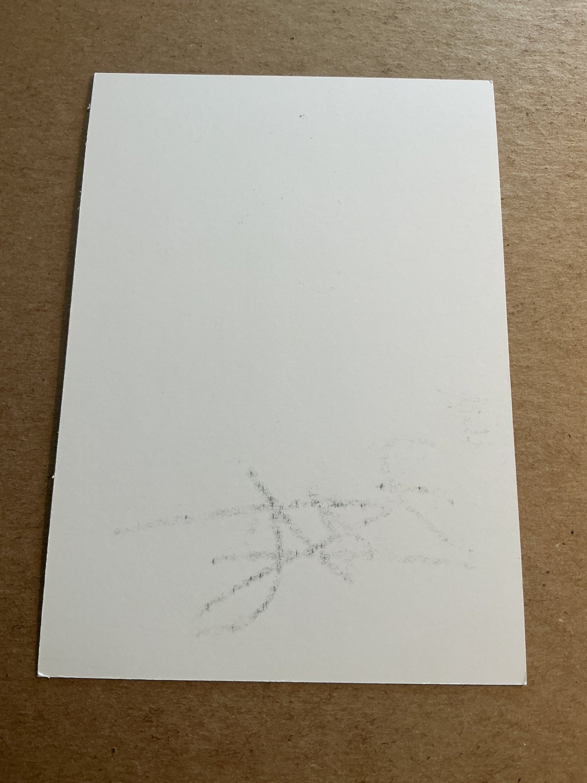 Jeremy Pied, France 🇫🇷 Lille OSC 2018/19 hand signed - Autographs-World