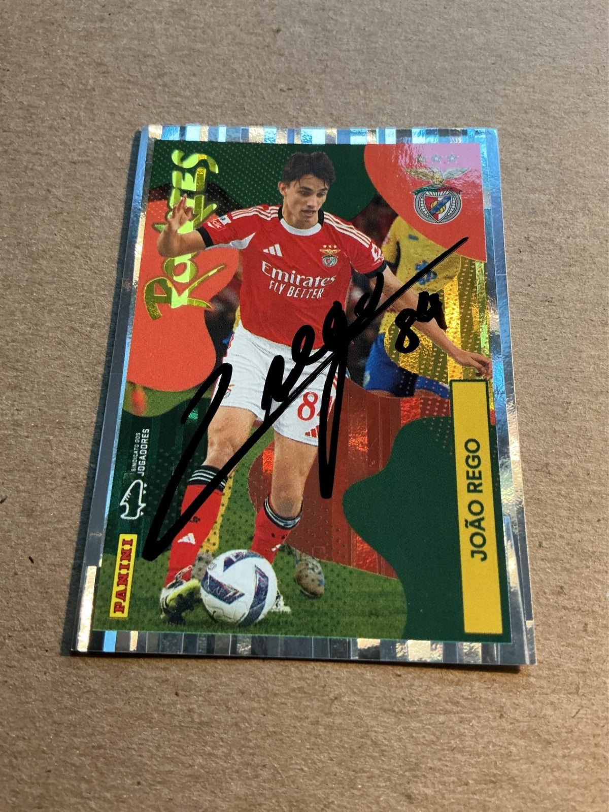 João Rego, Portugal 🇵🇹 SL Benfica 2025/26 Panini hand signed - Autographs-World