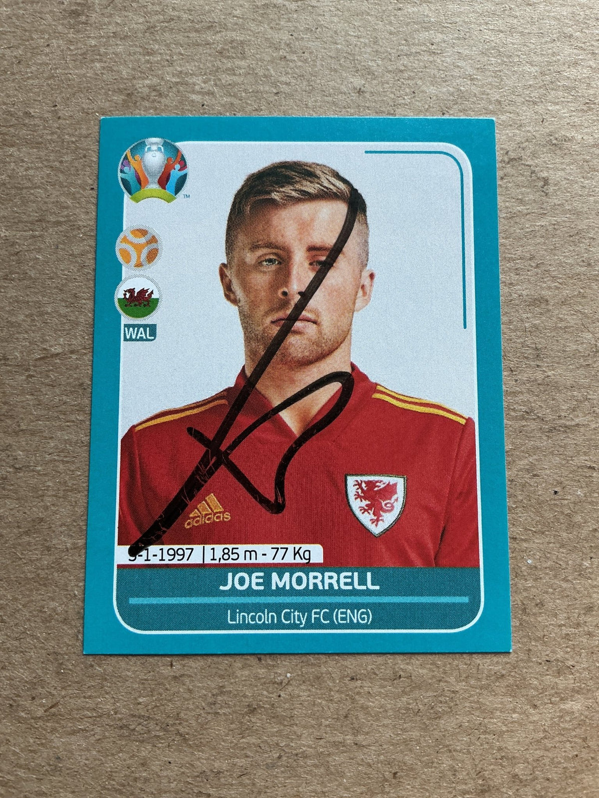 Joe Morrell, Wales 🏴󠁧󠁢󠁷󠁬󠁳󠁿 UEFA Euro 2020 Panini hand signed - Autographs-World
