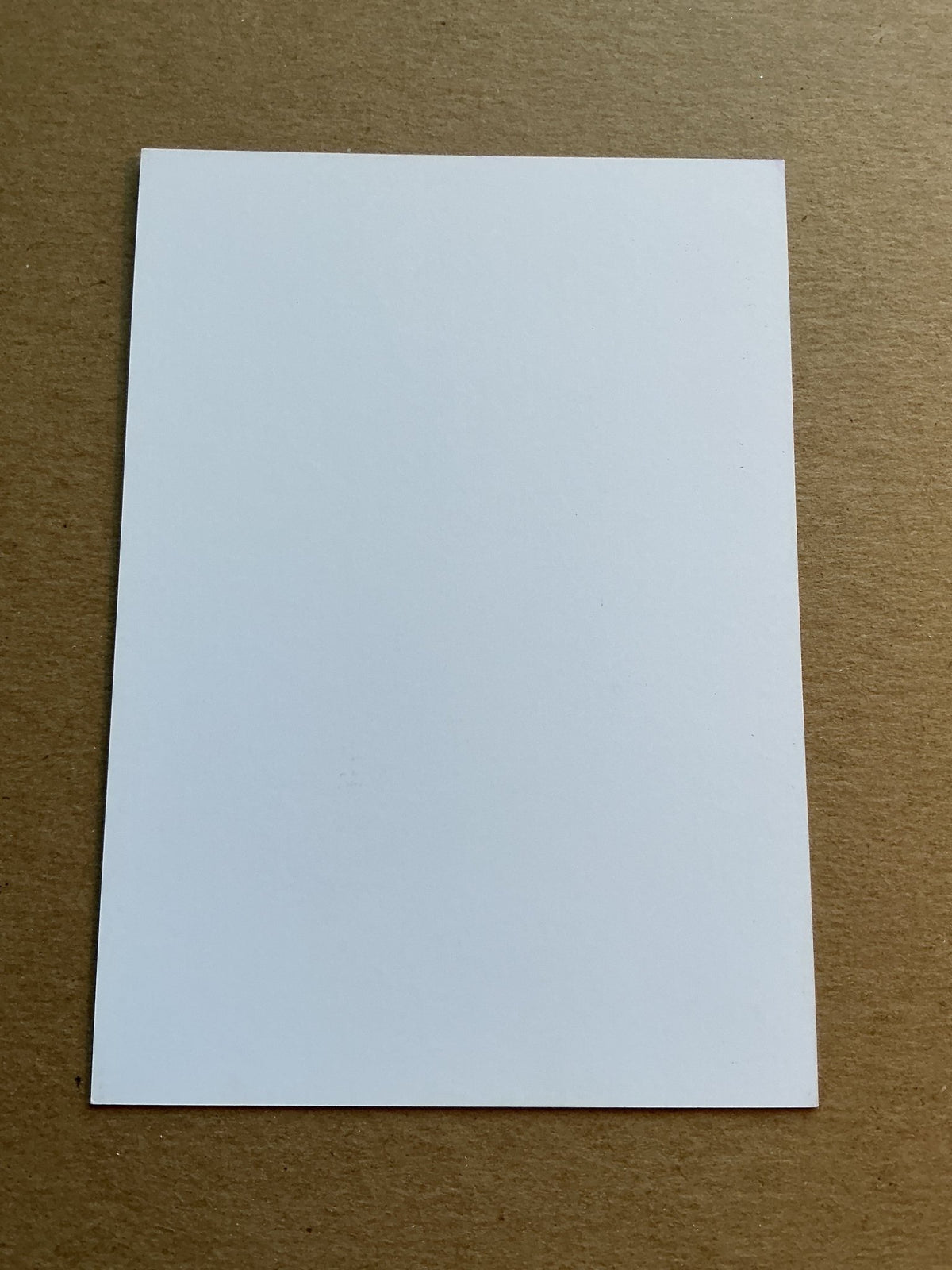 Julius Bielik, Czech Republic 🇨🇿 AC Sparta Prague 2019/20 hand signed - Autographs-World