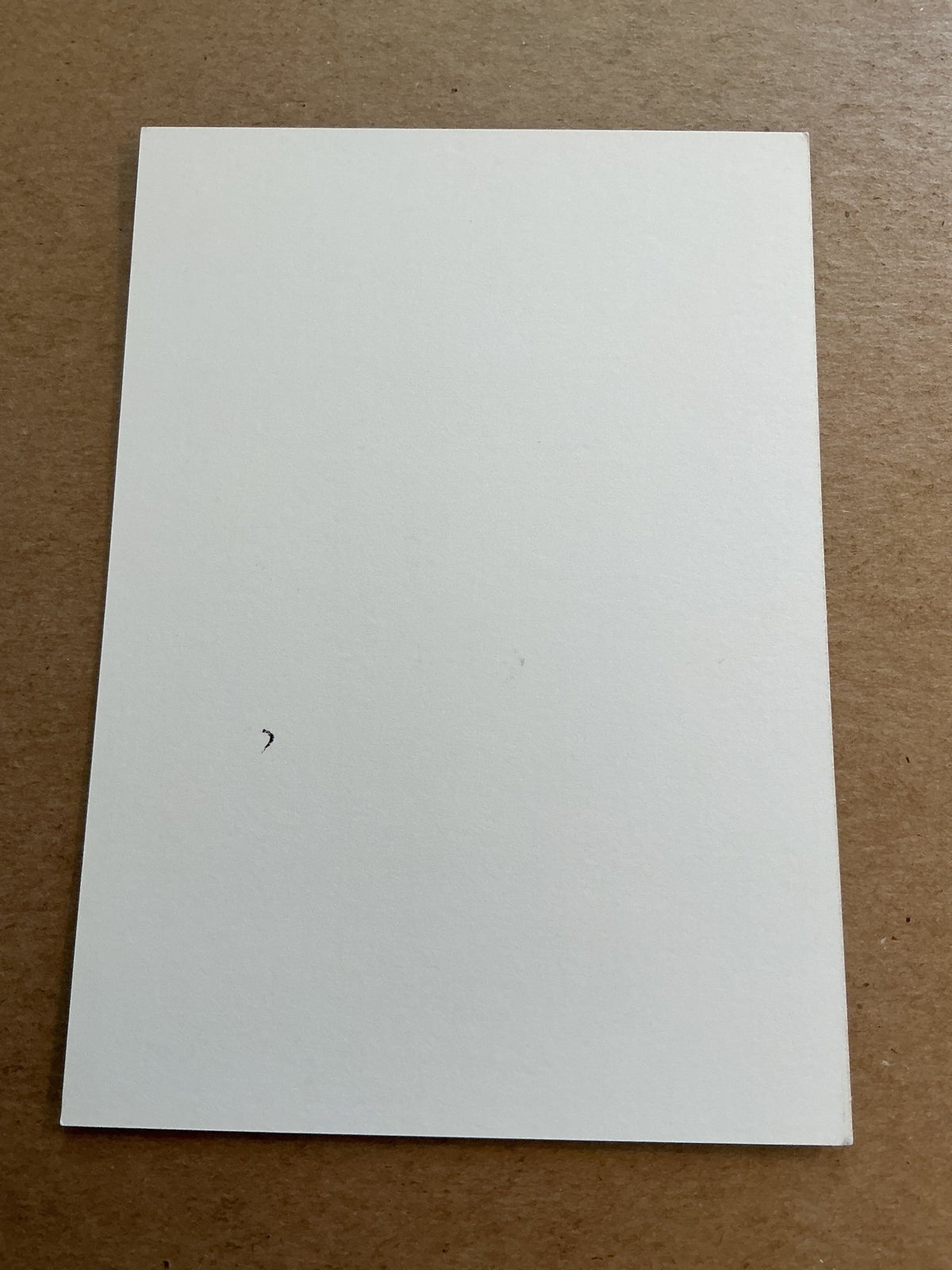 Kevin van den Kerkhof, Algeria 🇩🇿 FC Metz 2023/24 hand signed - Autographs-World