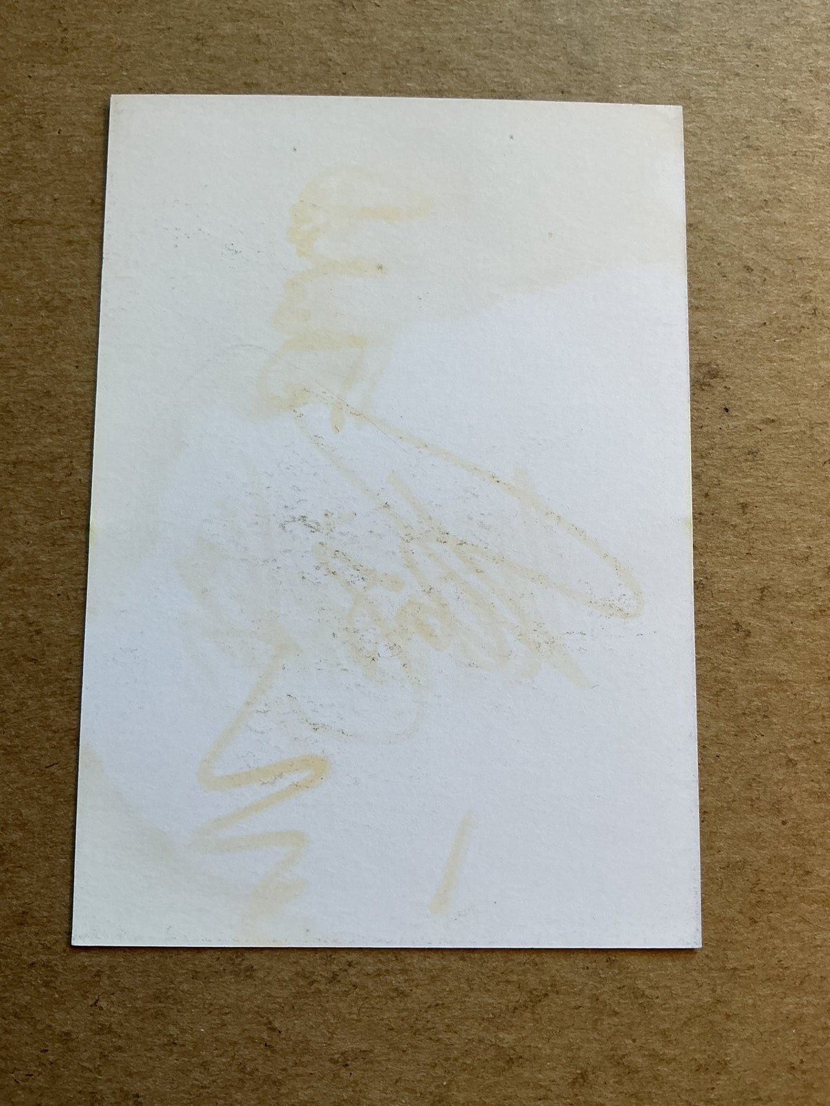 Luděk Němeček, Czech Republic 🇨🇿 FK Teplice 2020/21 hand signed - Autographs-World