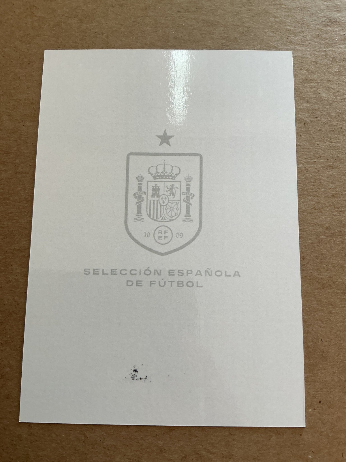 Luis de la Fuente, Spain 🇪🇸 UEFA Euro 2024 hand signed - Autographs-World