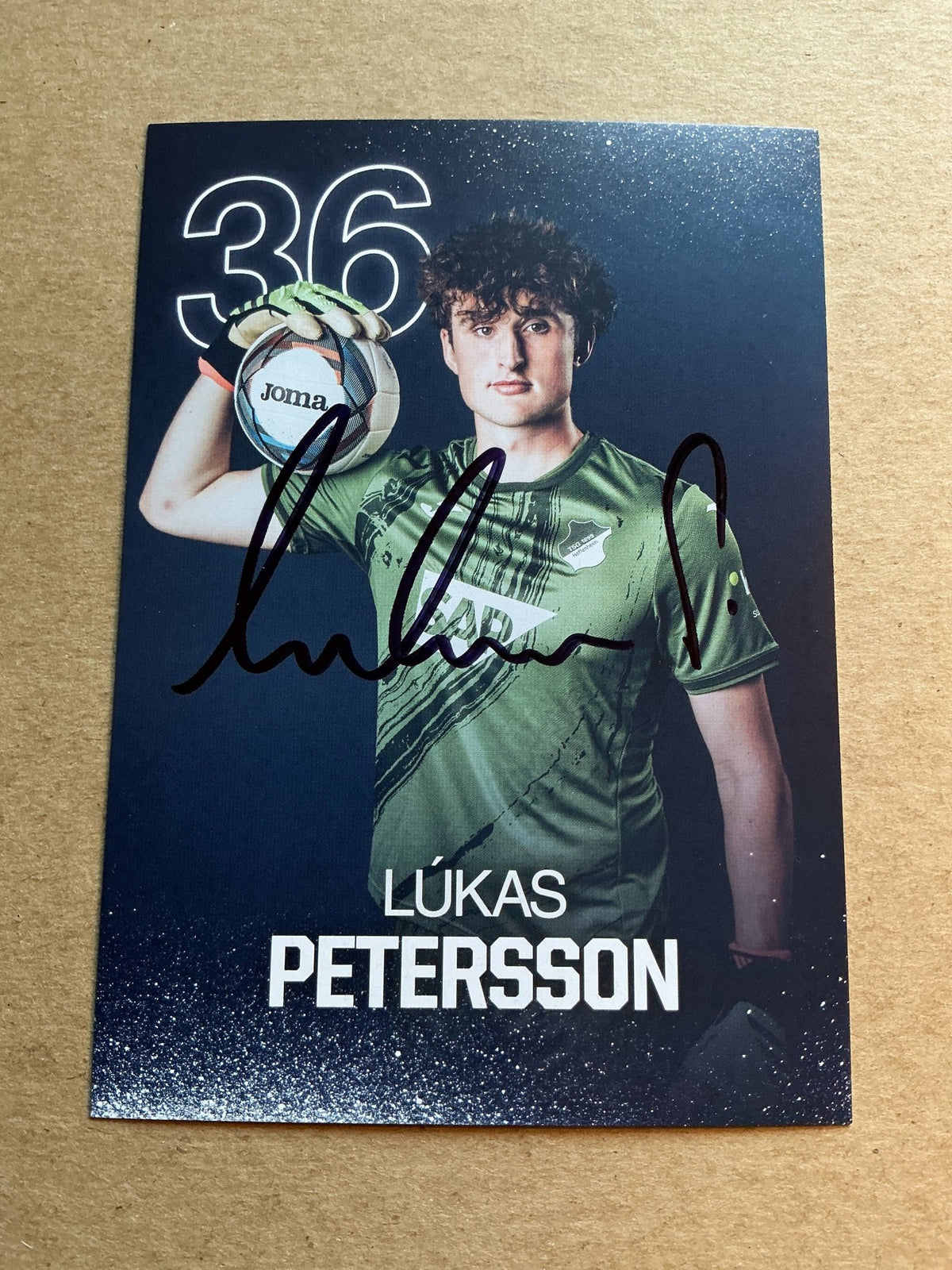 Lukas Petersson, Iceland 🇮🇸 TSG 1899 Hoffenheim 2024/25 hand signed - Autographs-World