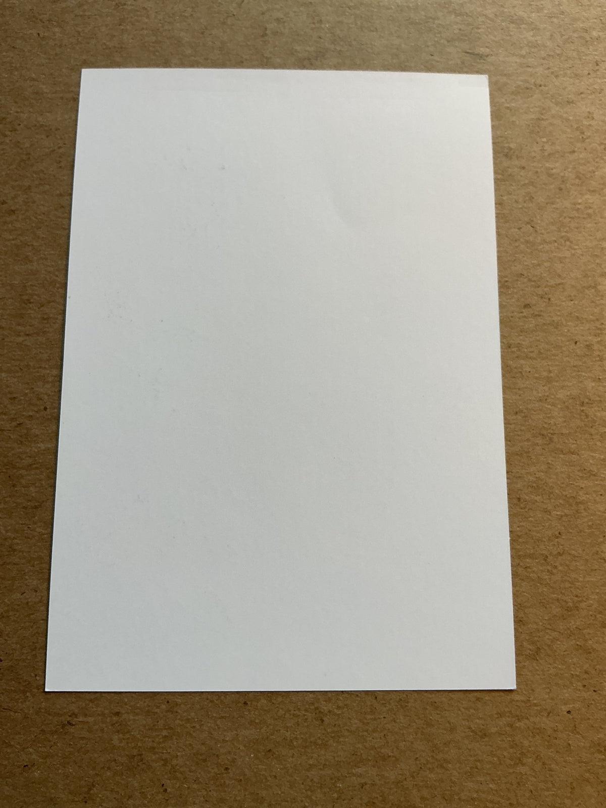 Márk Kosznovszky, Hungary 🇭🇺 MTK Budapest FC 2023/24 hand signed - Autographs-World