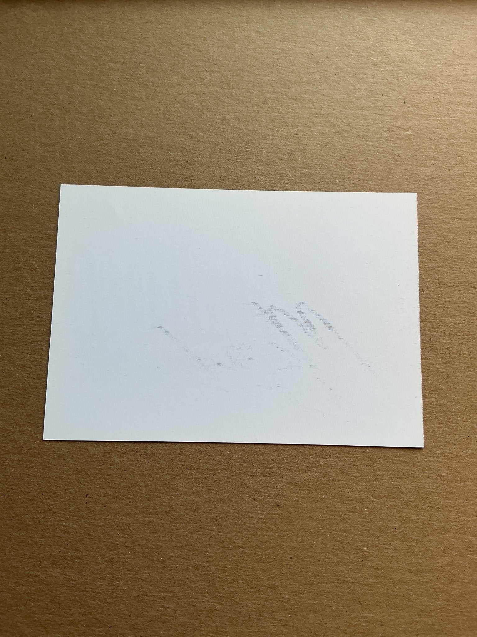 Mattias Svanberg, Sweden 🇸🇪 Bologna FC 2019/20 hand signed - Autographs-World