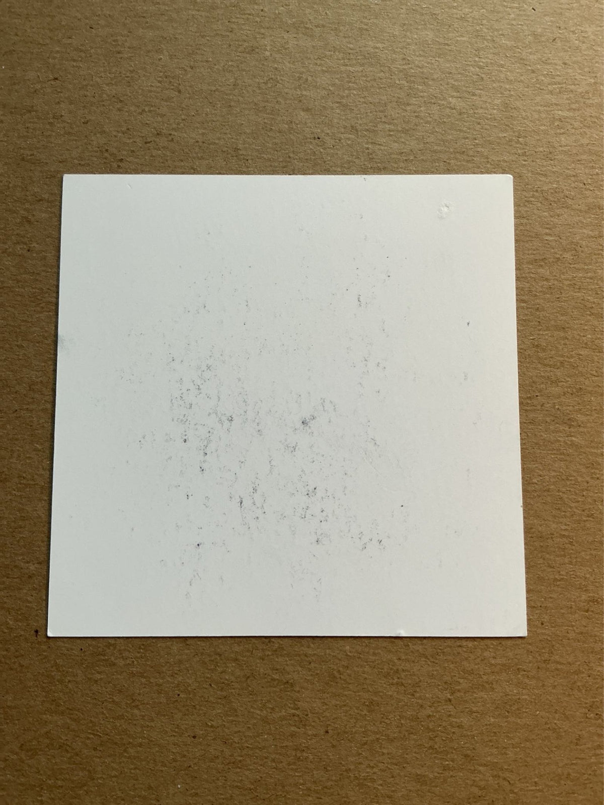 Mauricio Pellegrino, Argentina 🇦🇷 Southampton FC 2017/18 hand signed - Autographs-World