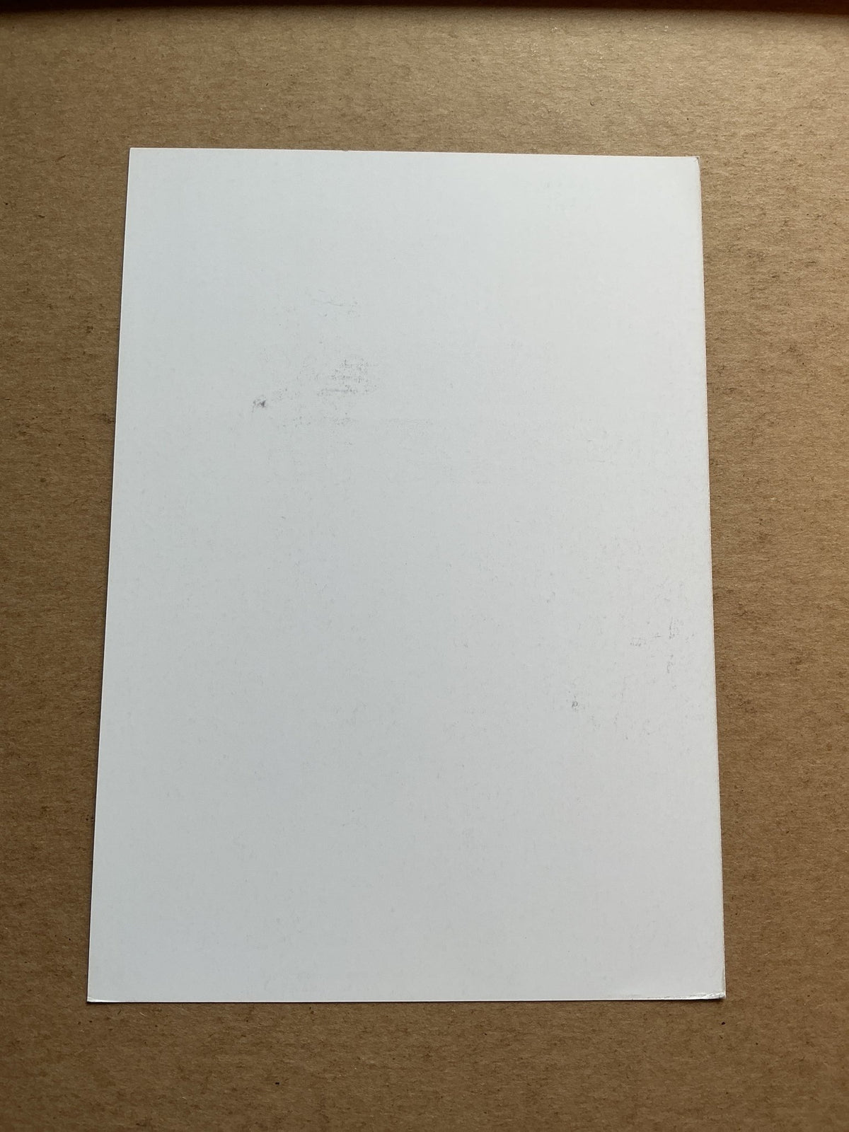 Maxime Busi, Belgium 🇧🇪 Royal Charleroi SC 2019/20 hand signed - Autographs-World