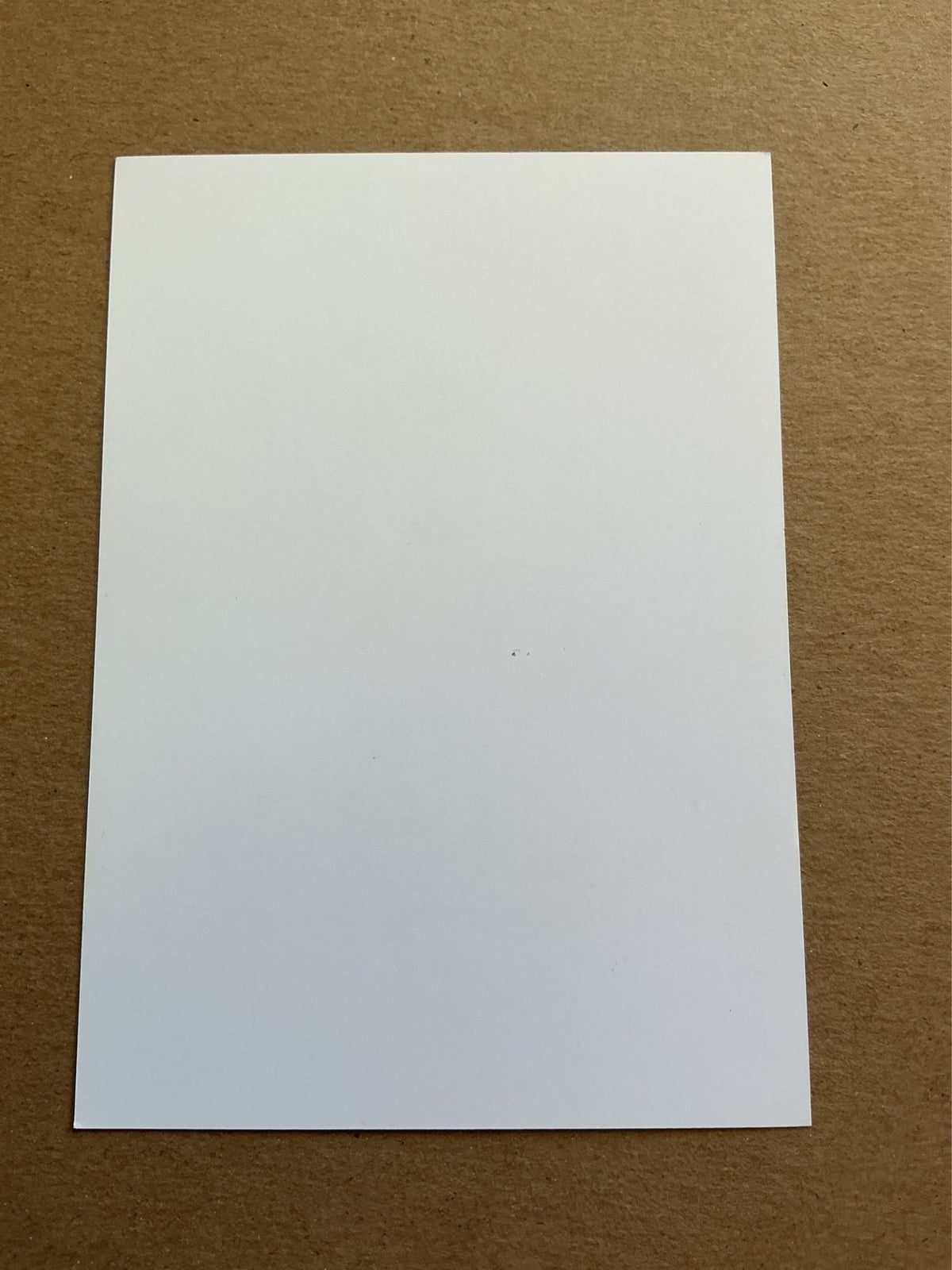 Michel Vorm, Netherlands 🇳🇱 Tottenham Hotspur 2017/18 unsigned - Autographs-World