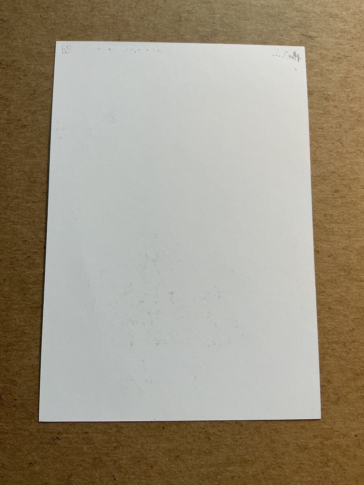 Mihály Kata, Hungary 🇭🇺 MTK Budapest FC 2023/24 hand signed - Autographs-World