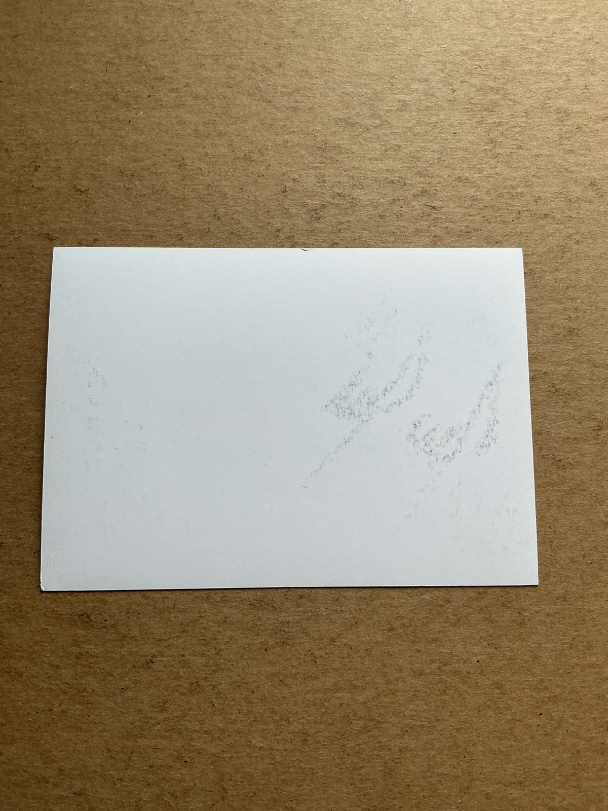 Mike Maignan, France 🇫🇷 Lille OSC 2019/20 hand signed - Autographs-World