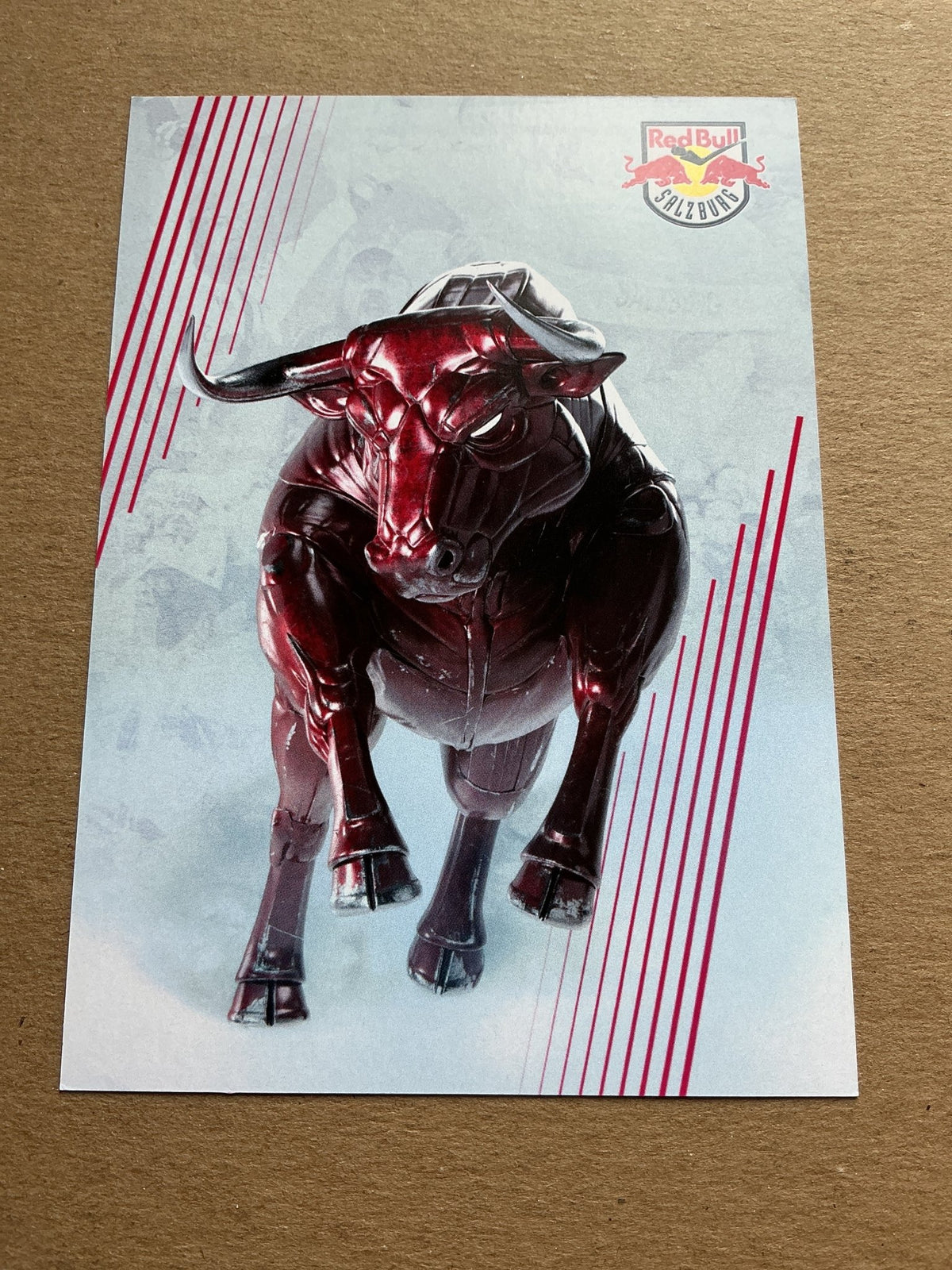 Oliver David, USA 🇺🇸 EC Red Bull Salzburg 2023/24 hand signed - Autographs-World