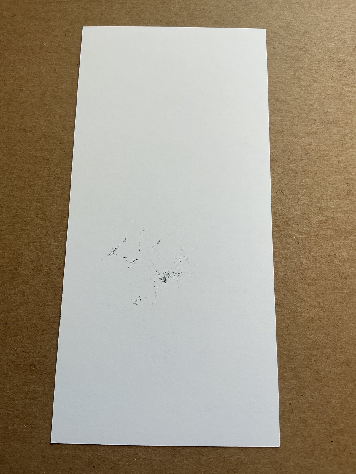 Paul Akouokou, Ivory Coast 🇨🇮 Olympique Lyon 2023/24 hand signed - Autographs-World
