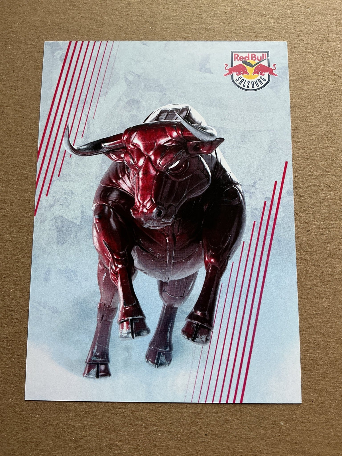 Phillip Sinn, Germany 🇩🇪 EC Red Bull Salzburg 2023/24 hand signed - Autographs-World