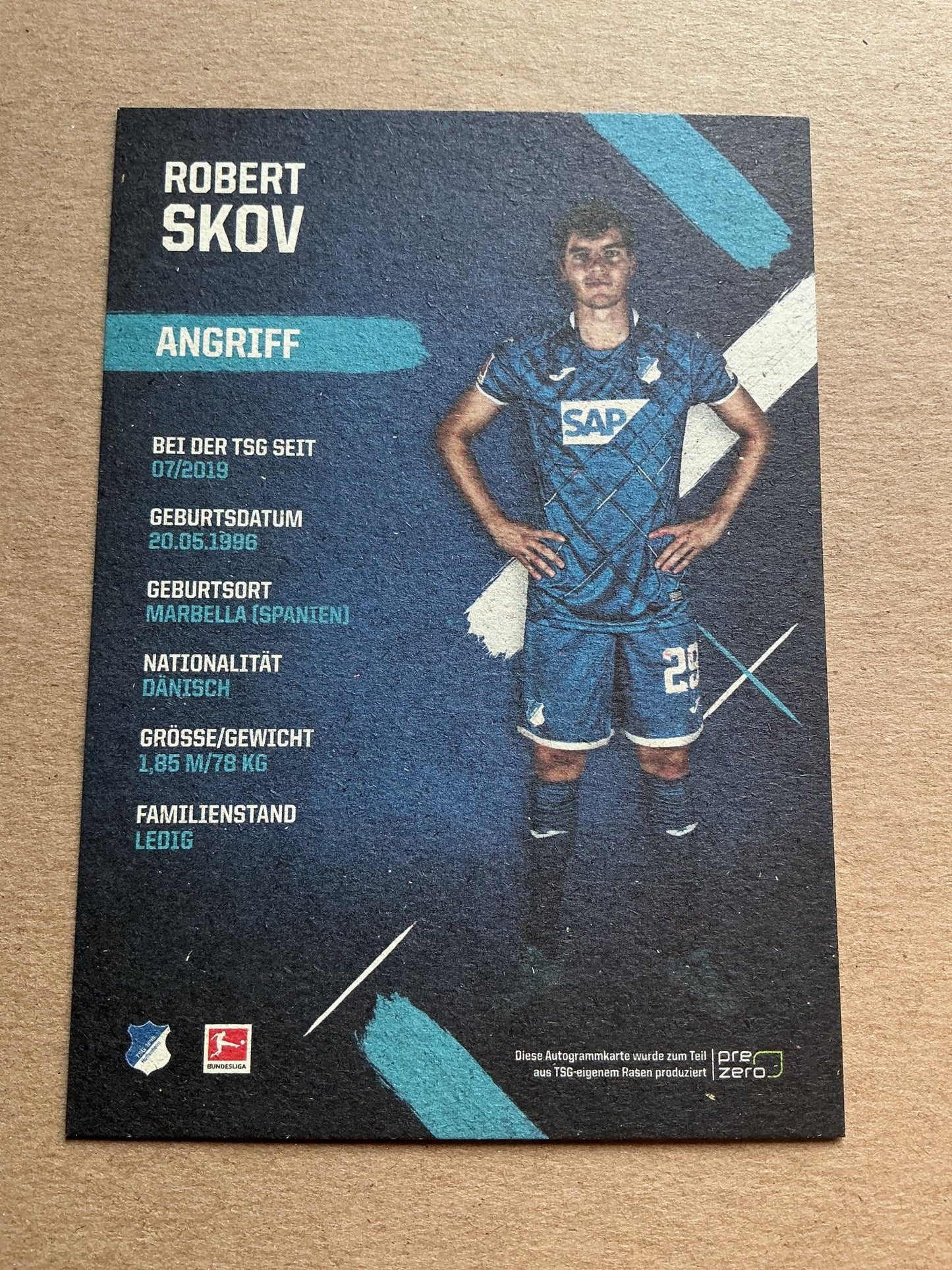 Robert Skov, Denmark 🇩🇰 TSG 1899 Hoffenheim 2019/20 hand signed - Autographs-World