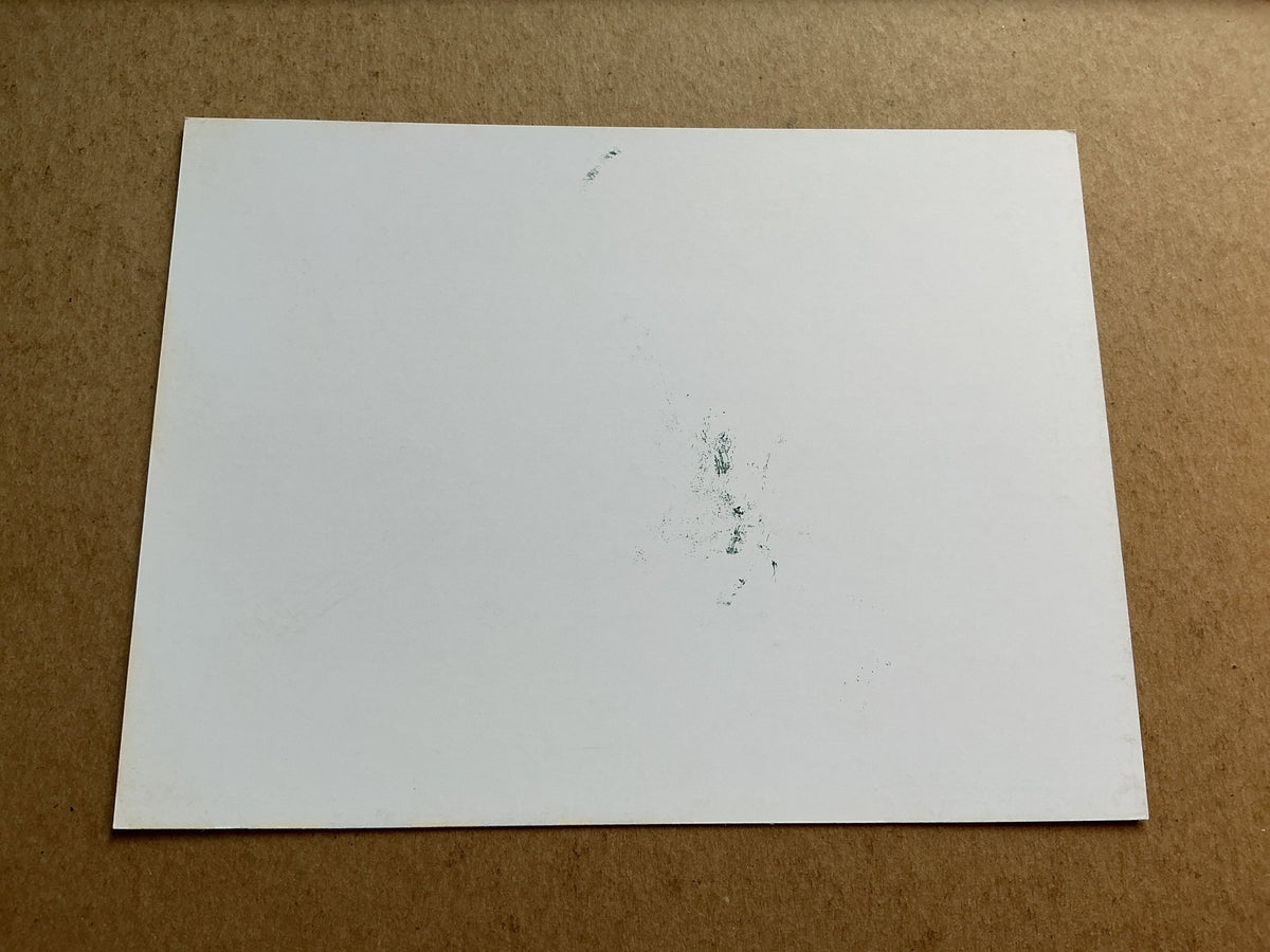 Srdan Babić, Serbia 🇷🇸 Red Star Belgrade 2019/20 hand signed - Autographs-World