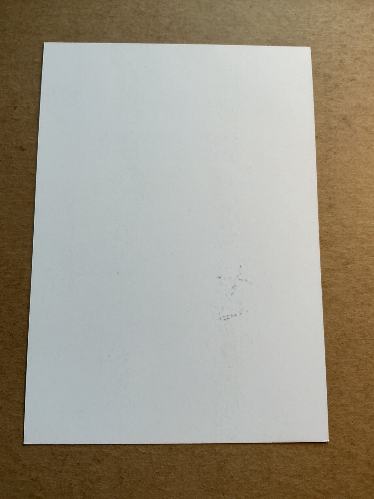Steeven Willems, France 🇫🇷 Royal Charleroi SC 2019/20 hand signed - Autographs-World