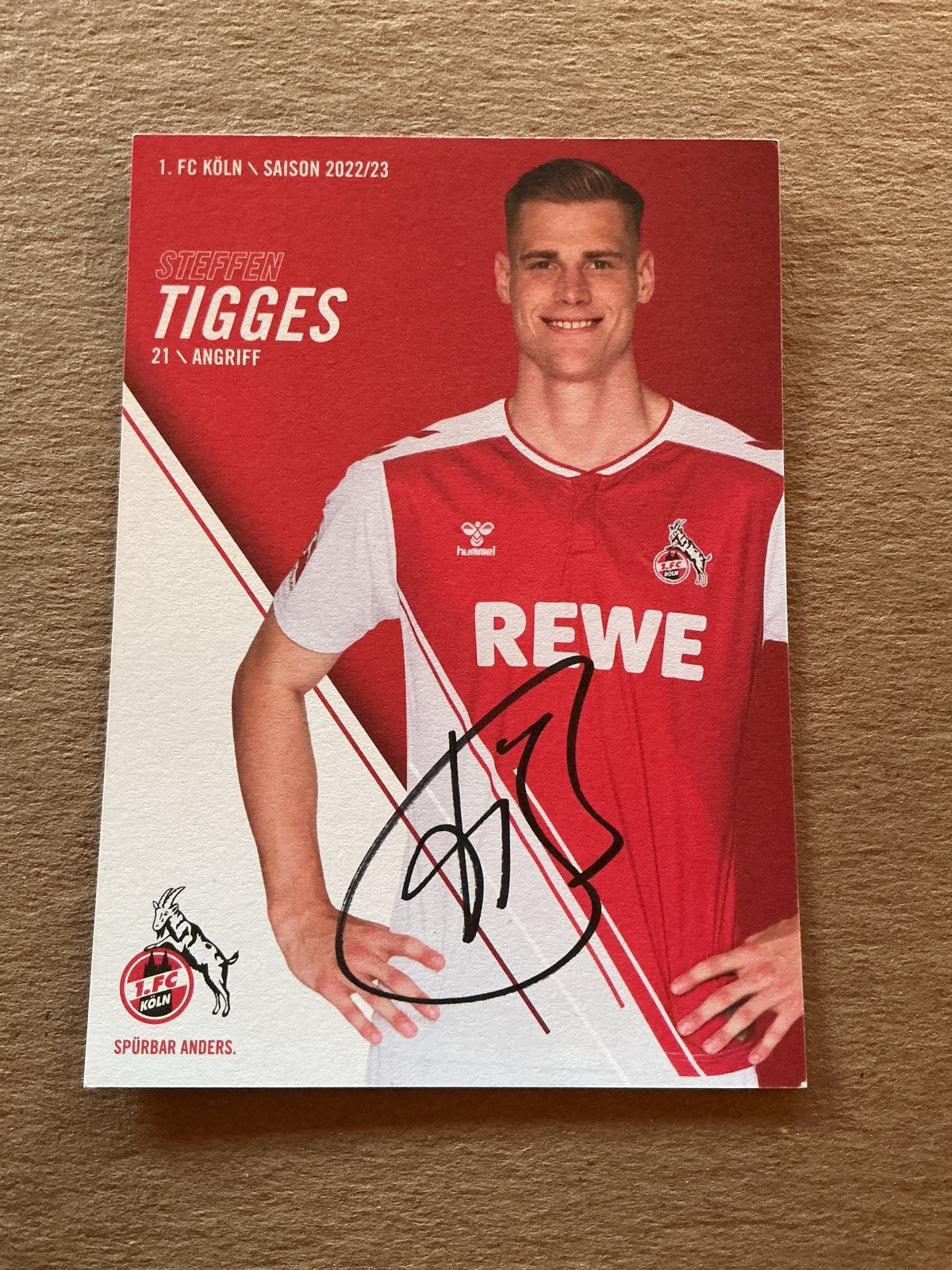 Steffen Tigges, Germany 🇩🇪 1.FC Köln 2022/23 hand signed - Autographs-World