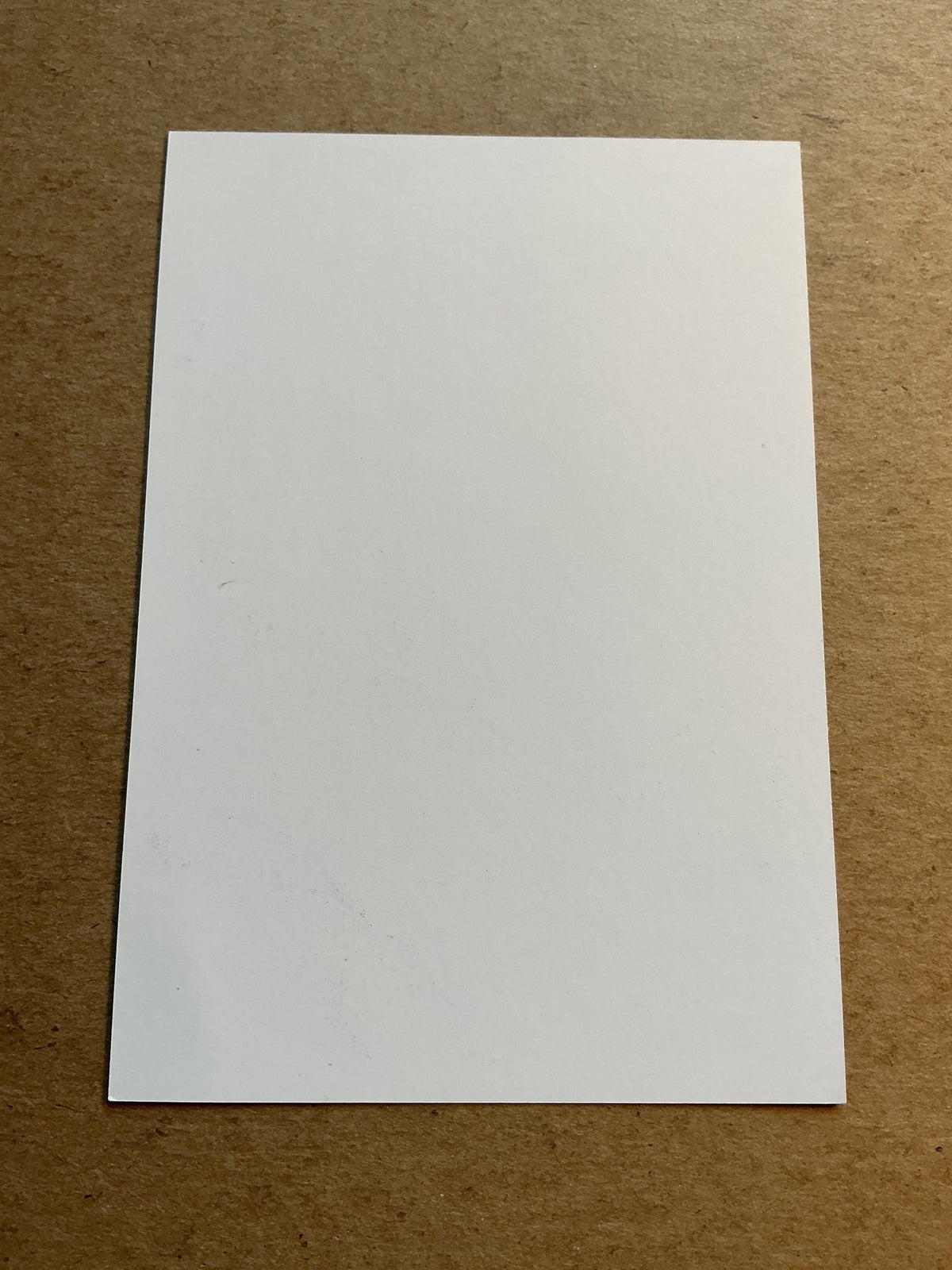 Tamás Kádár, Hungary 🇭🇺 MTK Budapest FC 2023/24 hand signed - Autographs-World