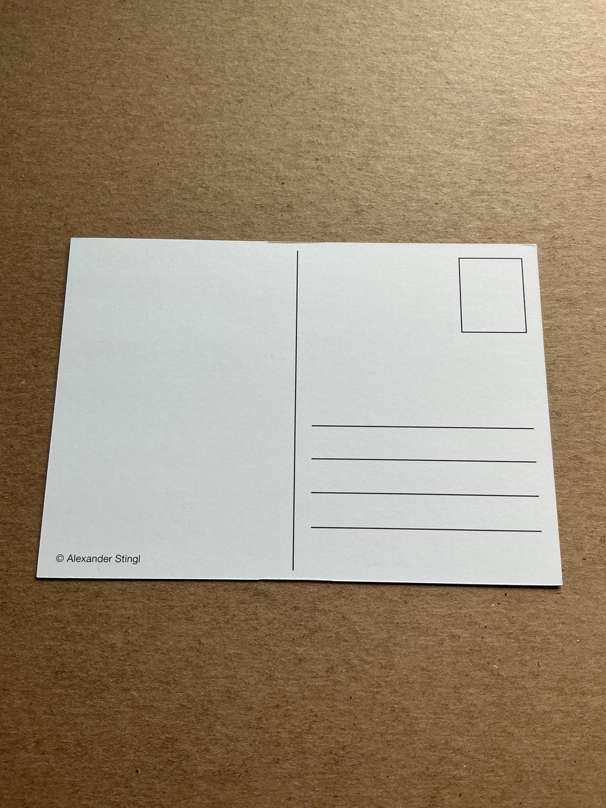 Tim Bergmann, Germany 🇩🇪 Actor hand signed - Autographs-World