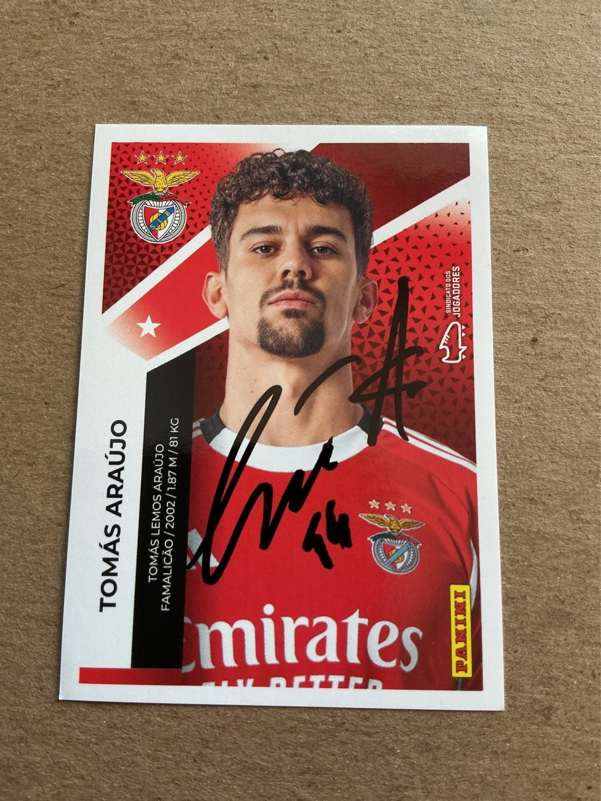 Tomás Araújo, Portugal 🇵🇹 SL Benfica 2025/26 Panini hand signed - Autographs-World