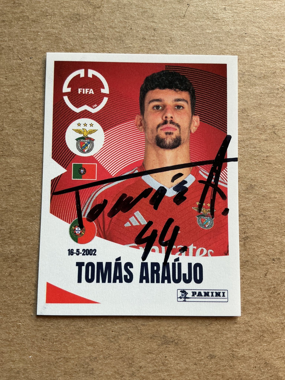 Tomas Araujo, Portugal 🇵🇹 SL Benfica Club World Cup 2025 Panini hand signed - Autographs-World