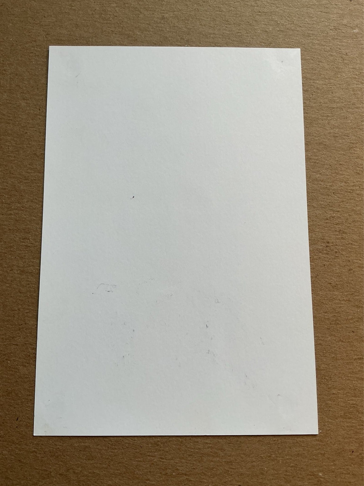 Wesley Hoedt, Netherlands 🇳🇱 Southampton FC 2017/18 hand signed - Autographs-World