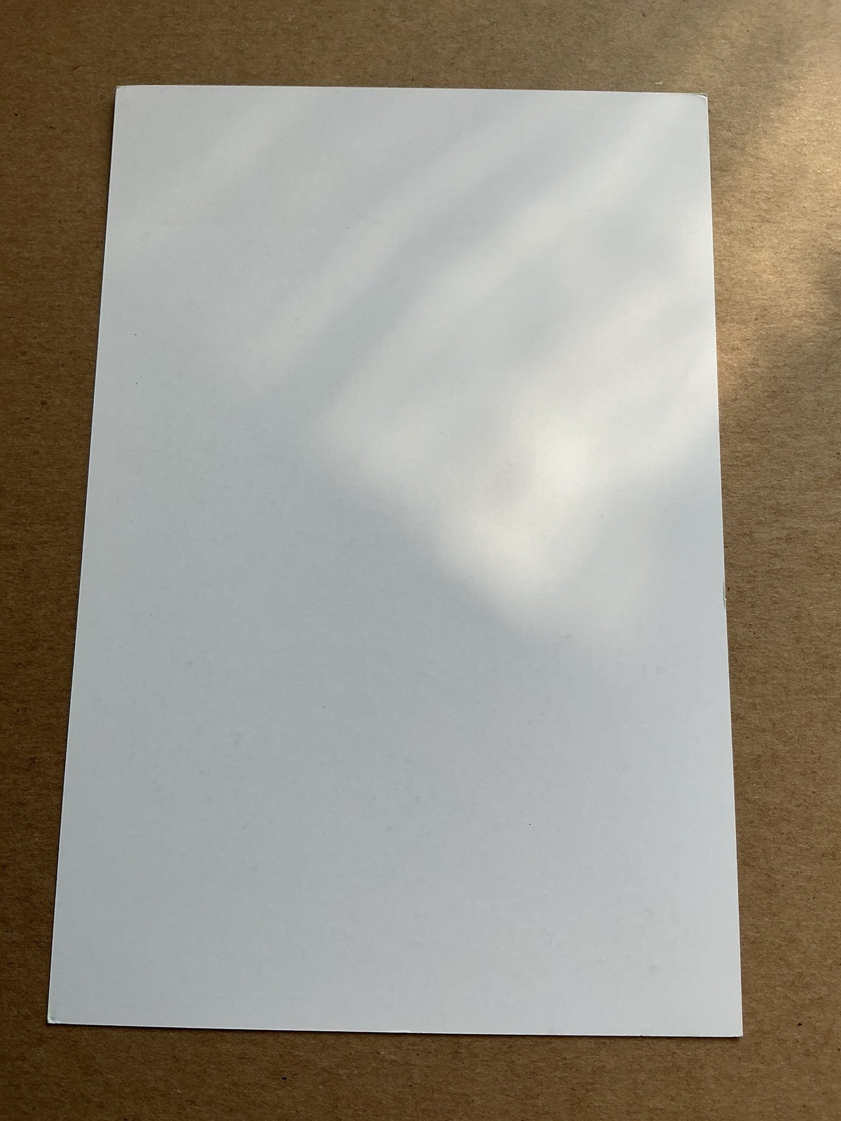 William Carvalho, Portugal 🇵🇹 Real Betis 2023/24 hand signed - Autographs-World