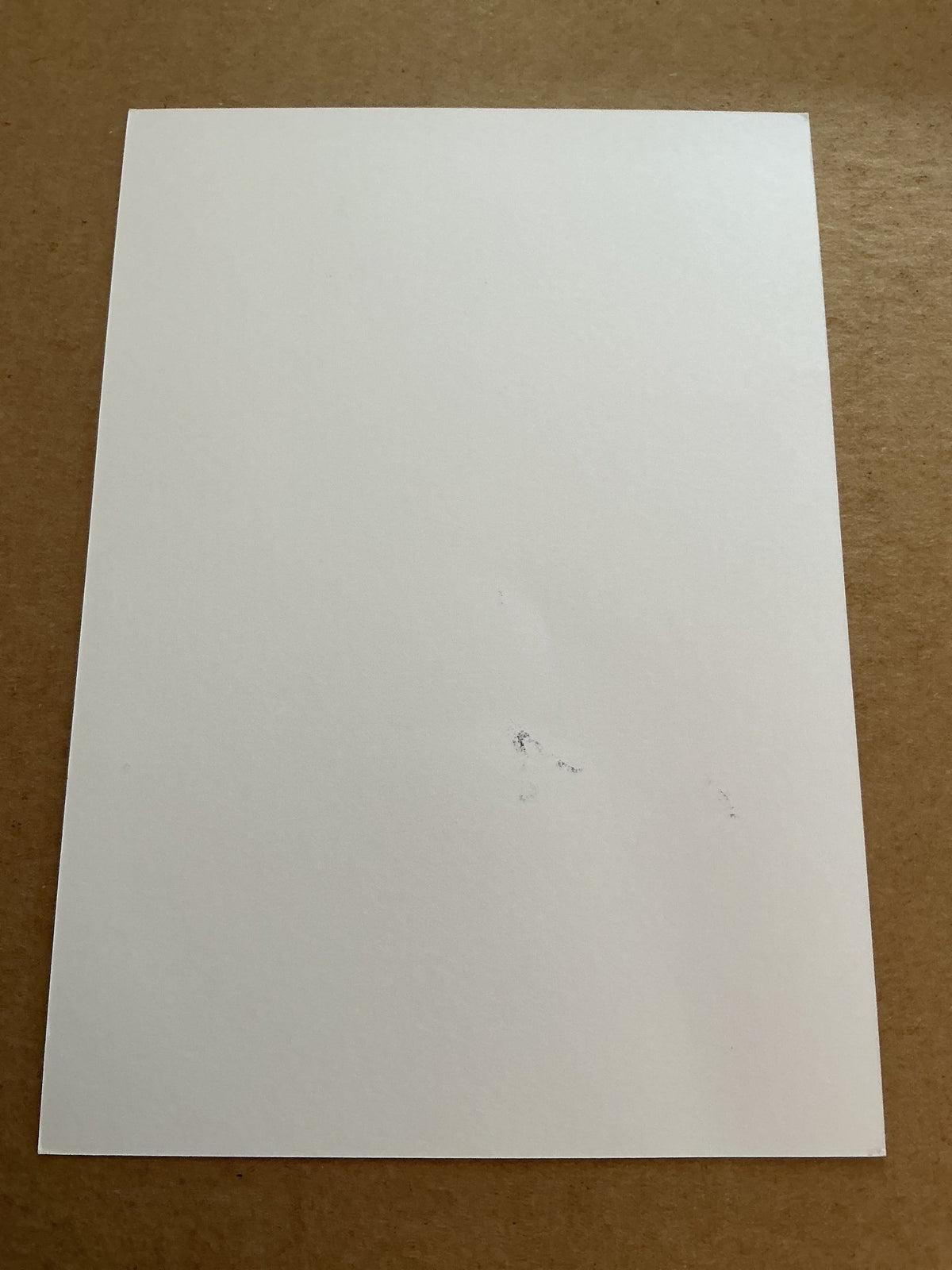 Winston Reid, New Zealand 🇳🇿 West Ham United 2018/19 hand signed - Autographs-World